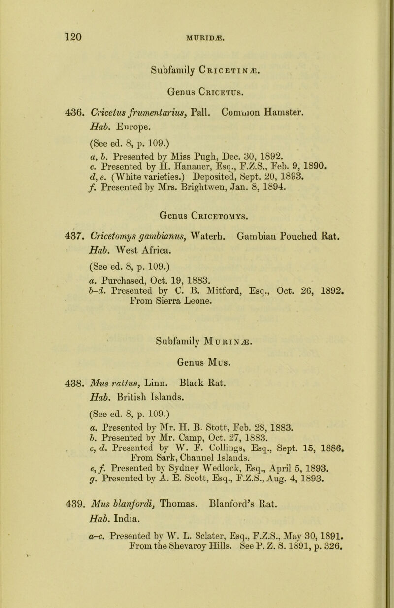 Subfamily Cricetin^e. Genus Cricetus. 436. Cricetus frumentarius, Pall. Common Hamster. Hab. Europe. (See ed. 8, p. 109.) «, b. Presented by Miss Pugh, Dec. 30, 1892. c. Presented by H. Hanauer, Esq., E.Z.S., Eeb. 9, 1890. d, e. (White varieties.) Deposited, Sept. 20, 1893. /. Presented by Mrs. Brightwen, Jan. 8, 1894. Genus Cricetomys. c 437. Cricetomys gambianus, Waterh. Gambian Pouched Rat. Hab. West Africa. (See ed. 8, p. 109.) a. Purchased, Oct. 19, 1883. b-d. Presented by C. B. Mitford, Esq., Oct. 26, 1892. Erom Sierra Leone. Subfamily Murin^e. Genus Mus. 438. Mus rattus, Linn. Black Rat. Hab. British Islands. (See ed. 8, p. 109.) a. Presented by Mr. H. B. Stott, Eeb. 28, 1883. b. Presented by Mr. Camp, Oct. 27, 1883. c. d. Presented by W. E. Codings, Esq., Sept. 15, 1886. Erom Sark, Channel Islands. e, f. Presented by Sydney Wedlock, Esq., April 5, 1893. g. Presented by A. E. Scott, Esq., E.Z.S., Aug. 4, 1893. 439. Mus blanfordi, Thomas. BlanforcPs Rat. Hab. India. a-c. Presented by W. L. Sclater, Esq., E.Z.S., May 30,1891. Erom the Shevaroy Hills. See P. Z. S. 1891, p. 326.