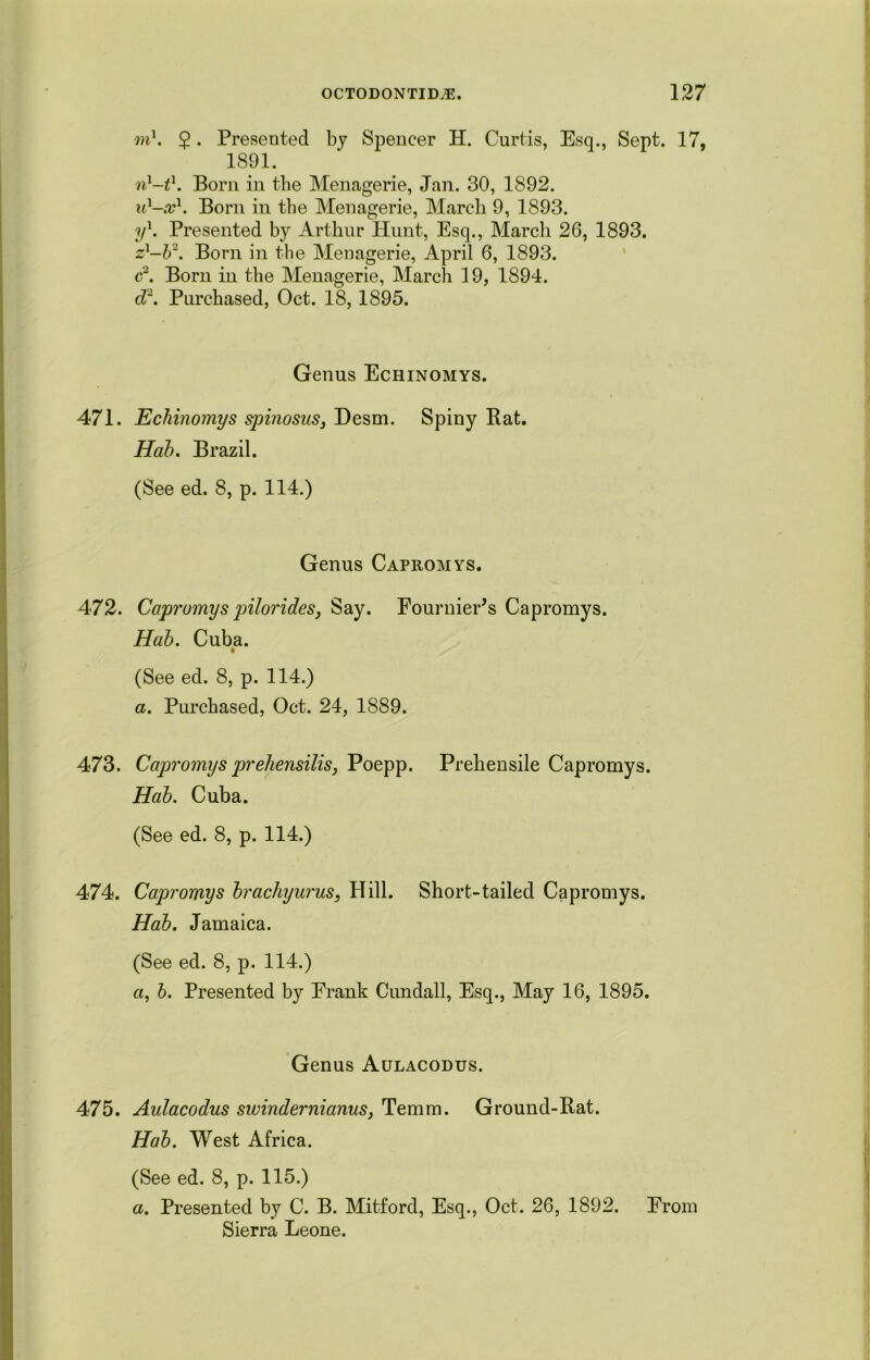 m1. $ • Presented by Spencer H. Curtis, Esq., Sept. 17, 1891. nl-tl. Born in the Menagerie, Jan. 30, 1892. it1-#1. Born in the Menagerie, March 9, 1893. yl. Presented b}r Arthur Hunt, Esq., March 26, 1893. z'-b2. Born in the Menagerie, April 6, 1893. c2. Born in the Menagerie, March 19, 1894. d2. Purchased, Oct. 18,1895. Genus Echinomys. 471. Echinomys spinosus, Desm. Spiny Rat. Hah. Brazil. (See ed. 8, p. 114.) Genus Capromys. 472. Capromys pilorides. Say. Fournier’s Capromys. Hah. Cuba. (See ed. 8, p. 114.) a. Purchased, Oct. 24, 1889. 473. Capromys preliensilis, Poepp. Prehensile Capromys. Hah. Cuba. (See ed. 8, p. 114.) 474. Capromys hrachyurus, Hill. Short-tailed Capromys. Hah. Jamaica. (See ed. 8, p. 114.) «, h. Presented by Frank Cundall, Esq., May 16, 1895. Genus Aulacodus. 475. Aulacodus swindernianus, Temm. Ground-Rat. Hah. West Africa. (See ed. 8, p. 115.) a. Presented by C. B. Mitford, Esq., Oct. 26, 1892. From Sierra Leone.