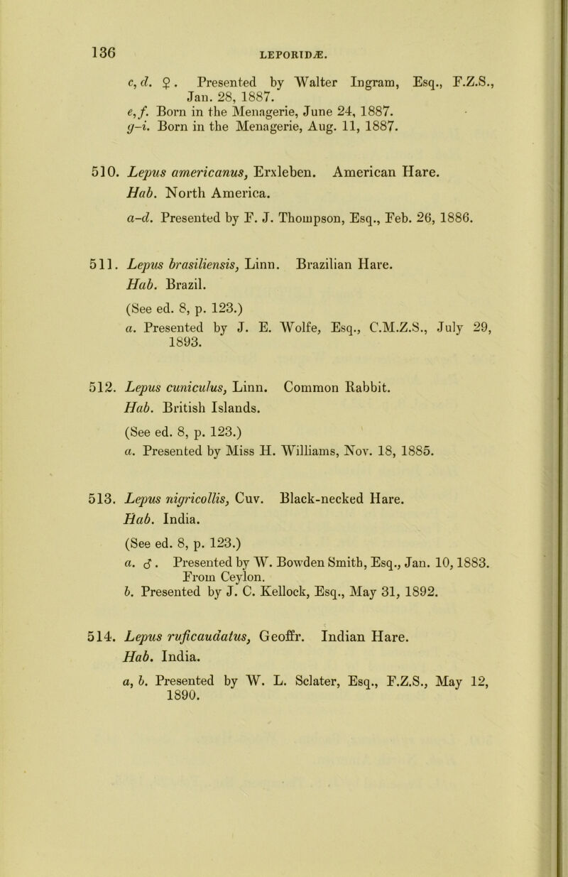 c, cl. $. Presented by Walter Ingram, Esq., F.Z.S., Jan. 28, 1887. e,f. Born in the Menagerie, June 24, 1887. g-i. Born in the Menagerie, Aug. 11, 1887. 510. Lepus americanus, Erxleben. American Hare. Hab. North America. a-cl. Presented by E. J. Thompson, Esq., Eeb. 26, 1886. 511. Lepus brasiliensis, Linn. Brazilian Hare. Hab. Brazil. (See ed. 8, p. 123.) a. Presented by J. E. Wolfe, Esq., C.M.Z.S., July 29, 1893. 512. Lepus cuniculus, Linn. Common Rabbit. Hab. British Islands. (See ed. 8, p. 123.) a. Presented by Miss H. Williams, Nov. 18, 1885. 513. Lepus nigricollis, Cuv. Black-necked Hare. Hab. India. (See ed. 8, p. 123.) a. $ . Presented by W. Bowden Smith, Esq., Jan. 10,1883. From Ceylon. b. Presented by J. C. Xellock, Esq., May 31, 1892. 514. Lepus rvficaudatus, Geoffr. Indian Hare. Hab. India. a, b. Presented by W. L. Sclater, Esq., F.Z.S., May 12, 1890.