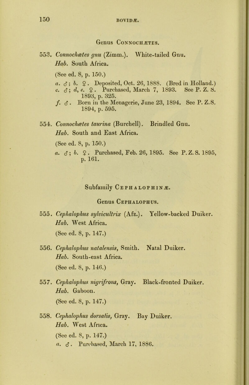 Genus Connoch^etes. 553. Connocheetes gnu (Zimm.). White-tailed Gnu. Hob. South Africa. (See ed. 8, p. 150.) a. $ ; b. $ . Deposited, Oct. 26, 1888. (Bred in Holland.) c. (S ; d, e. $ . Purchased, March 7, 1893. See P. Z. S. 1893, p. 325. f. cT • Born in the Menagerie, June 23, 1894. See P. Z.S. 1894, p. 595. 554. Connochcetes taurina (Burchell). Brindled Gnu. Hab. South and East Africa. (See ed. 8, p. 150.) a. ($;b. $. Purchased, Peb. 26, 1895. See P.Z.S. 1895, p. 161. Subfamily Cephalophin^e. Genus Cephalophus. 555. Cephalophus sylvicultrix (Afz.). Yellow-backed Duiker. Hab. West Africa. (See ed. 8, p. 147.) 556. Cephalophus natalensis, Smith. Natal Duiker. Hab. South-east Africa. (See ed. 8, p. 146.) 557. Cephalophus nigrifrons, Gray. Black-fronted Duiker. Hab. Gaboon. (See ed. 8, p. 147.) 558. Cephalophus dorsalis, Gray. Bay Duiker. Hab. West Africa. (See ed. 8, p. 147.) a. <3. Purchased, March 17, 1886.