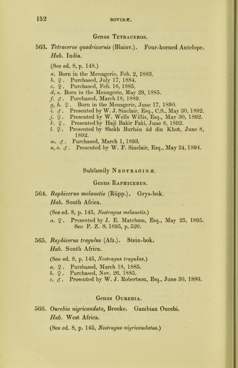 Genus Tetraceros. 563. Tetraceros quadricornis (Blainv.). Four-horned Antelope. Hab. India. (See ed. 8, p. 148.) a. Born in the Menagerie, Feb. 2, 1883. b. 2 • Purchased, July 17, 1884. c. 2 • Purchased, Feb. 16, 1885. d. e. Born in the Menagerie, May 29, 1885. f. <$ . Purchased, March 18, 1889. g, h. 5 . Born in the Menagerie, June 17, 1890. i. cT. Presented by W. J. Sinclair, Esq., C.S., May 30, 1892. j. 5 . Presented by W. Wells Willis, Esq., May 30, 1892. k. $ . Presented by Haji Bakir Faki, June 8, 1892. l. $. Presented by Shekh Burhan ud din Khot, June 8, 1892. ■m. <$ . Purchased, March 1,1893. n, o. J . Presented by W. F. Sinclair, Esq., May 24,1894. Subfamily Neotragin^. Genus Raphicerus. 564. Raphicerus melanotis (Rupp.). Grys-bok. Hab. South Africa. (See ed. 8, p. 145, Neotragus melanotis.) a. $ . Presented by J. E. Matcham, Esq., Mav 25, 1895. See P. Z. S. 1895, p. 520. 565. Raphicerus tragulus (Afz.). Stein-bok. Hab. South Africa. (See ed. 8, p. 145, Neotragus tragulus.) a. 2 • Purchased, March 18, 1885. b. 5 • Purchased, Nov. 26, 1885. c. d • Presented by W. J. Robertson, Esq., June 30, 1886. Genus Ourebia. 566. Ourebia nigricaudata, Brooke. Gambian Ourebi. Hab. West Africa. (See ed. 8, p. 145, Neotragus nigncaudatus.)