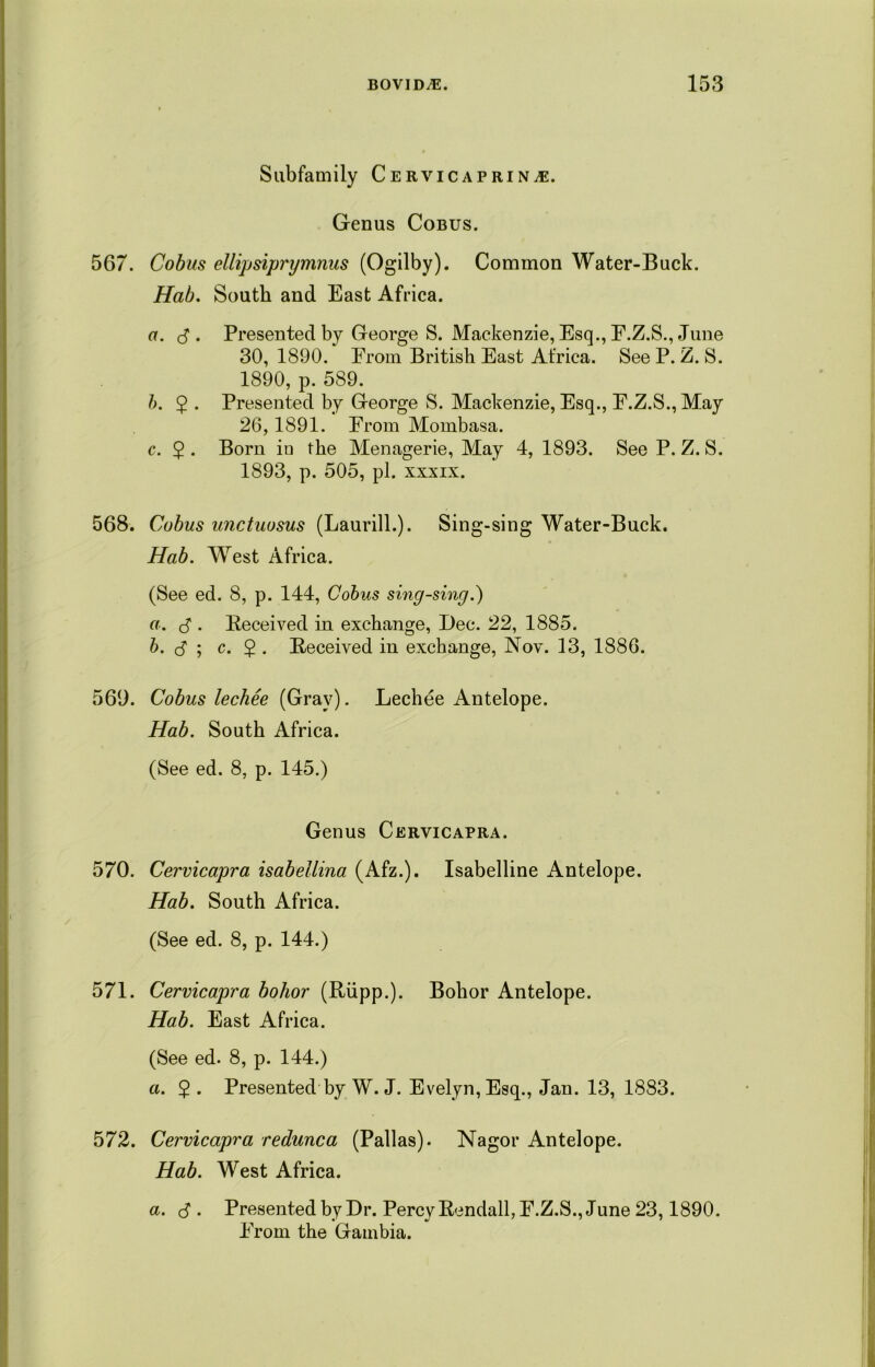 Subfamily Cervicaprinj:. Genus Cobus. 567. Cobus ellipsiprijmnus (Ogilby). Common Water-Buck. Hab. South and East Africa. a. $ . Presented by George S. Mackenzie, Esq., E.Z.S., June 30, 1890. From British East Africa. See P. Z. S. 1890, p. 589. h. 5 • Presented by George S. Mackenzie, Esq., F.Z.S., May 26,1891. From Mombasa. c. $ . Born io the Menagerie, May 4, 1893. See P. Z. S. 1893, p. 505, pi. xxxix. 568. Cobus unctuosus (Laurill.). Sing-sing Water-Buck. Hab. West Africa. (See ed. 8, p. 144, Cobus sing-sing.) a. $ . Received in exchange, Dec. 22, 1885. b. (3 ; c. $ . Received in exchange, Nov. 13, 1886. 569. Cobus lechee (Gray). Lechee Antelope. Hab. South Africa. (See ed. 8, p. 145.) C o Genus Cervicapra. 570. Cervicapra isabellina (Afz.). Isabelline Antelope. Hab. South Africa. (See ed. 8, p. 144.) 571. Cervicapra bohor (Rupp.). Bohor Antelope. Hab. East Africa. (See ed. 8, p. 144.) a. 2 • Presented by W. J. Evelyn, Esq., Jan. 13, 1883. 572. Cervicapra redunca (Pallas). Nagor Antelope. Hab. West Africa. a. c3 . Presented by Dr. Percy Rendall, F.Z.S., June 23,1890. From the Gambia.