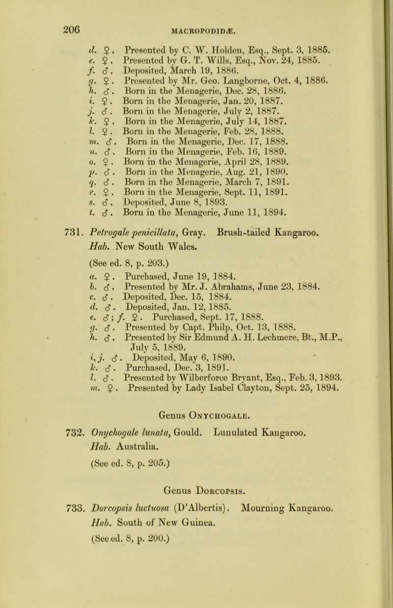 d. 2 • Presented by C. W. Holden, Esq., Sept. 3, 1885. e. 2 • Presented by G. T. Wills, Esq., Nov. 24, 1885. /. 6 . Deposited, March 19, 1886. g. 2 • Presented by Mr. Geo. Langborne, Oct. 4, 1886. h. <3. Born in the Menagerie, Dec. 28, 1886. i. 2 • Born in the Menagerie, Jan. 20, 1887. j. 6 . Born in the Menagerie, July 2, 1887. k. 2 • Born in the Menagerie, July 14, 1887. l. 2 • Born in the Menagerie, Feb. 28, 1888. m. <3 . Born in the Menagerie, Dec. 17, 1888. n. <S . Born in the Menagerie, Eeb. 16, 1889. o. 2 • Born in the Menagerie, April 28, 1889. p. <5 . Born in the Menagerie, Aug. 21, 1890. q. 3. Born in the Menagerie, March 7, 1891. r. $ . Born in the Menagerie, Sept. 11, 1891. s. <$ . Deposited, June 8, 1893. t. <5 . Born in the Menagerie, June 11, 1894. 731. Petrogale penicillata, Gray. Brush-tailed Kangaroo. Hab. New South Wales. (See ed. 8, p. 203.) a. 2 • Purchased, June 19, 1884. b. $ . Presented by Mr. J. Abrahams, June 23, 1884. c. $ . Deposited, Dec. 15, 1884. d. S • Deposited, Jan. 12,1885. e. $; f. 2 • Purchased, Sept. 17, 1888. g. S . Presented by Capt. Philp, Oct. 13, 1888. h. (3 . Presented by Sir Edmund A. H. Lechmere, Bt., M.P., July 5, 1889. i. j. d . Deposited, May 6, 1890. k. (3 . Purchased, Dec. 3, 1891. l. <3 . Presented by Wilberforce Bryant, Esq., Eeb. 3,1893. m. 5 . Presented by Lady Isabel Clayton, Sept. 25, 1894. Genus Onychogale. 732. Onychogale lunata, Gould. Lunulated Kangaroo. Hab. Australia. (See ed. 8, p. 205.) Genus Dorcopsis. 733. Dorcopsis luctuosa (D’’Albertis). Mourning Kangaroo. Hab. South of New Guinea. (See ed. 8, p. 200.)