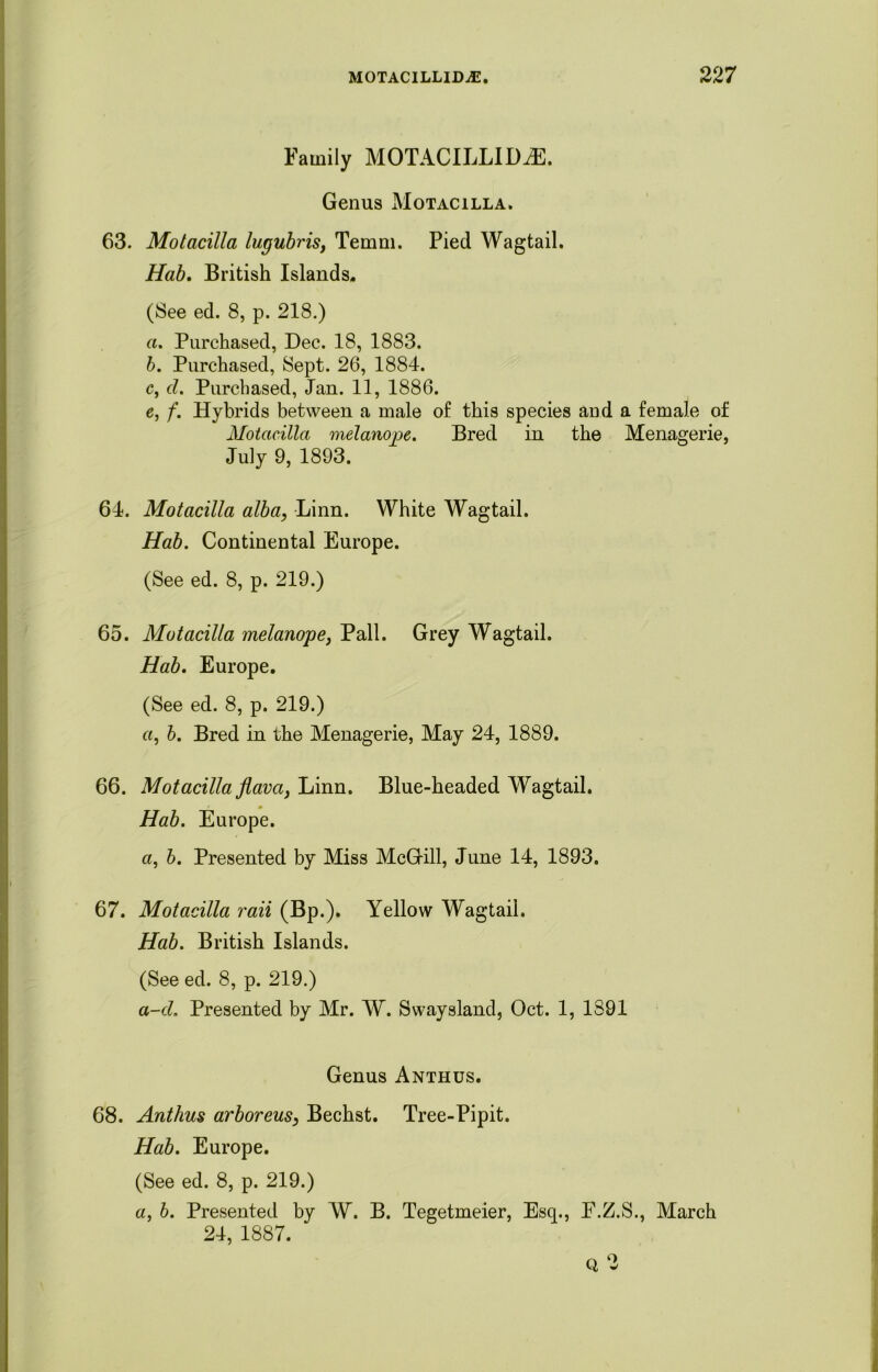 Family MOTACILLIDiE. Genus Motacilla. 63. Motacilla lugubris, Temm. Pied Wagtail. Hab. British Islands. (See ed. 8, p. 218.) a. Purchased, Dec. 18, 1883. b. Purchased, Sept. 26, 1884. c. cl. Purchased, Jan. 11, 1886. e, f. Hybrids between a male of this species and a female of Motacilla melanojpe. Bred in the Menagerie, July 9, 1893. 64. Motacilla alba, Linn. White Wagtail. Hab. Continental Europe. (See ed. 8, p. 219.) 65. Motacilla melanope, Pall. Grey Wagtail. Hab. Europe. (See ed. 8, p. 219.) a, b. Bred in the Menagerie, May 24, 1889. 66. Motacilla flava, Linn. Blue-headed Wagtail. Hab. Europe. a, b. Presented by Miss McGill, June 14, 1893. 67. Motacilla raii (Bp.). Yellow Wagtail. Hab. British Islands. (See ed. 8, p. 219.) a-d. Presented by Mr. W. Swaysland, Oct. 1, 1891 Genus Anthus. 68. Anthus arboreus, Bechst. Tree-Pipit. Hab. Europe. (See ed. 8, p. 219.) a, b. Presented by W. B. Tegetmeier, Esq., F.Z.S., March 24, 1887. Q 2