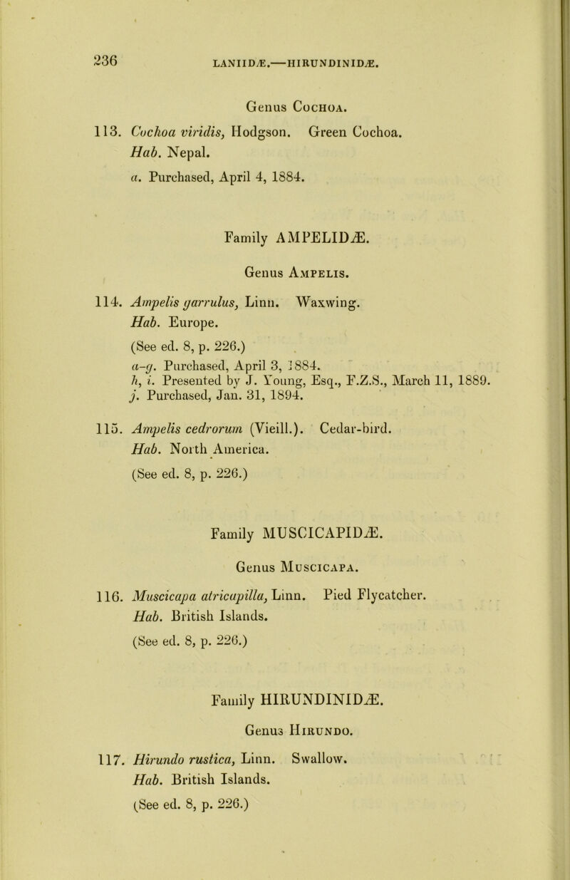 LANIID^E. HI RUN DIN IDAS. Genus Cochoa. 113. Coclioa viriclis, Hodgson. Green Cochoa. Hah. Nepal. a. Purchased, April 4, 1884. Family AMPELIDiE. Genus Ampelis. 114. Ampelis garrulus, Linn. Waxwing. Hah. Europe. (See ed. 8, p. 226.) a-g. Purchased, April 3, J 884. /*, i. Presented by J. Young, Esq., F.Z.S., March 11, 1889. j. Purchased, Jan. 31, 1894. 115. Ampelis cedrorum (Vieill.). Cedar-bird. Hab. North America. (See ed. 8, p. 226.) Family MUSCICAPIDiE. Genus Muscicapa. 116. Muscicapa atricupilla, Linn. Pied Flycatcher. Hab. British Islands. (See ed. 8, p. 226.) Family HIRUNDINIDiE. Genus IIirundo. 117. Hirundo rustica, Linn. Swallow. Hab. British Islands.