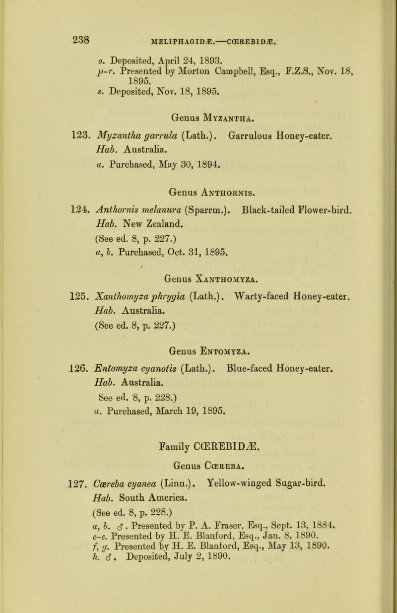 MELIPHAGIDAJ. CCEREBIDAS. o. Deposited, April 24, 1893. p-r. Presented by Morton Campbell, Esq., F.Z.S., Nov. 18, 1895. s. Deposited, Nov. 18, 1895. Genus Myzantha. 123. Myzantha garrula (Lath.). Garrulous Honey-eater. Hah. Australia. a. Purchased, May 30, 1894. Genus Anthornis. 124. Anthornis melanura (Sparrm.). Black-tailed Flower-bird. Hah. New Zealand. (See ed. 8, p. 227.) a, h. Purchased, Oct. 31, 1895. / Genus Xanthomyza. 125. Xanthomyza phrygia (Lath.). Warty-faced Honey-eater. Hah. Australia. (See ed. 8, p. 227.) Genus Entomyza. 126. Entomyza cyanotis (Lath.). Blue-faced Honey-eater. Hah. Australia. See ed. 8, p. 228.) a. Purchased, March 19, 1895. Family CCEREBIDiE. Genus Ccereba. 127. Ccereba cyanea (Linn.). Yellow-winged Sugar-bird. Hah. South America. (See ed. 8, p. 228.) a, h. (S. Presented by P. A. Fraser, Esq., Sept. 13, 1884. c-e. Presented by H. E. Blanford, Esq., Jan. 8, 1890. f, (j. Presented by H. E. Blanford, Esq., May 13, 1890. h. d1. Deposited, July 2, 1890.