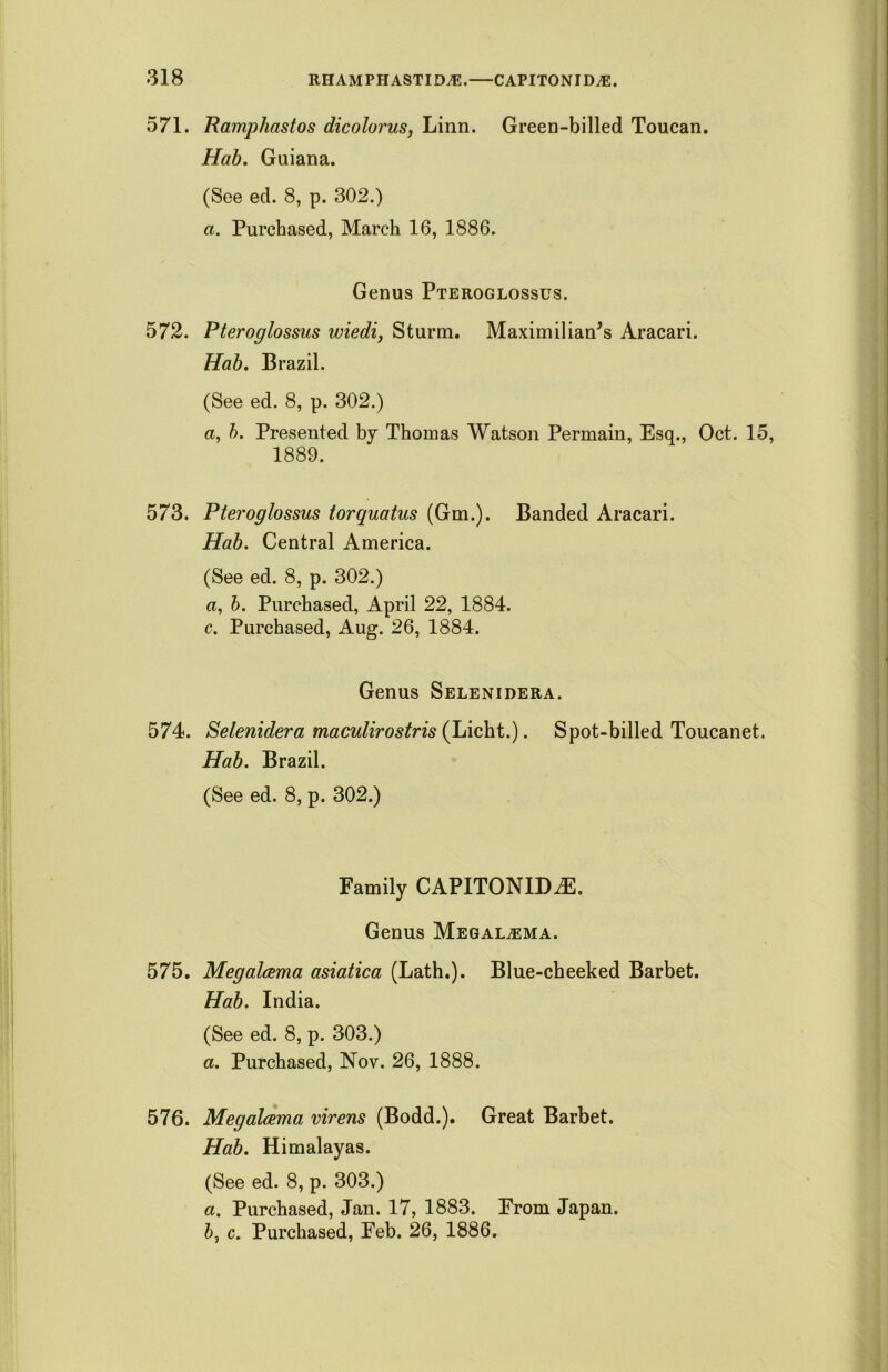 571. Ramphastos dicolorus, Linn. Green-billed Toucan. Hab. Guiana. (See ed. 8, p. 302.) a. Purchased, March 16, 1886. Genus Pteroglossus. 572. Pteroglossus wiedi, Sturm. Maximilian’s Aracari. Hab. Brazil. (See ed. 8, p. 302.) a, b. Presented by Thomas Watson Permain, Esq., Oct. 15, 1889. 573. Pteroglossus torquatus (Gm.). Banded Aracari. Hab. Central America. (See ed. 8, p. 302.) a, b. Purchased, April 22, 1884. c. Purchased, Aug. 26, 1884. Genus Selenidera. 574. Selenidera maculirostris (Licht.). Spot-billed Toucanet. Hab. Brazil. (See ed. 8, p. 302.) Family CAPITONLD^E. Genus Megal^ema. 575. Megalama asiatica (Lath.). Blue-cheeked Barbet. Hab. India. (See ed. 8, p. 303.) a. Purchased, Nov. 26, 1888. 576. Megalcema virens (Bodd.). Great Barbet. Hab. Himalayas. (See ed. 8, p. 303.) а. Purchased, Jan. 17, 1883. From Japan. б, c. Purchased, Feb. 26, 1886.