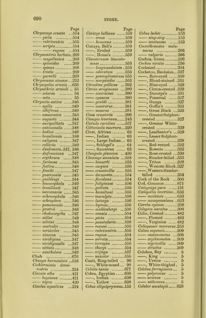 Page Chrysemys ornata ... 554 picta 554 rubriventris ... 555 scripta 554 rugosa ...554 Chrysomitris barbata..269 magellanica ...269 spinoides 269 spinus 268 tristis 269 yarrelli 269 Chrysomma sinense.. .232 Ckrysopelea ornata ...636 Chrysothrix eerstedi .. 35 sciurea 34 usta 35 Chrysotis csstiva 346 agilis 349 albifrons 349 amazonica 345 augusta 344 auripalliata ...347 autumnalis 348 bodini 348 brasiliensis 348 coeligena 347 collaria 349 diademata..347, 348 dufresniana ...347 erythrura 348 farinosa 345 festiva 348 ■ finschi 347 guatemalce 345 guildingi 344 leucocephala ...349 levaillanti 347 mercenaria 345 ■ ochrocephala ...346 ochroptera 346 panamensis 346 prcetrii 348 rhodocorytha .. .347 sallcei 349 salvini 348 ventralis 349 versicolor 345 vinacea 345 viridigena 347 viridigenalis ...347 vittata 348 x ant ho lor a 349 Chub 676 Chung a burmeisteri ...516 Cichlerminia densi- rostris 224 Ciconia alba 421 boyciana 421 nigra 420 Cinclus aquaticus ...224 Cinixys belliana .... Page ..559 erosa ..559 homeana ..559 Cinixys, Bell’s ..559 , Eroded ..559 , Home’s ..559 Cinostcrnum leucosto- mum, ..553 longicaudatum ..553 odoratum ..553 pennsylvanicum 553 scorpioides ..553 Circaetus gallicus . ..392 Circus ceruginosus . ..380 cineraceus ..380 cyaneus ..380 gouldi ..381 macrurus ..381 maurus ..381 Cissa venatoria ..296 Cissopis leveriana.... ..243 Cistudo Carolina .... ..557 Cittocincla macrura. ..220 Civet, African .. 63 , Indian .. 63 , Large Indian. .. 63 , Schlegel’s .... .. 64 , Sumatran .. 63 Clangula glaucion . ..450 Clemmys annulata . ..558 bennetti ..555 caspica ..556 crassicollis ..555 decussata ..554 for id ana ..554 fuliginosa ..556 guttata ..556 • hamiltoni ..555 insculpta ..556 laticeps ..556 leprosa ..556 muhlenbergi ., ..556 ornata ..554 picta ..554 punctularia ..558 reevesi ..555 rubriventris ..555 rugosa serrata ..554 terrapin ..555 thurgi .554 trijuga ,.557 unicolor Coati, Bing-tailed .. ,. 90 , White-nosed .. . 90 Cobitis teenia ,.677 Cobra, Egyptian .638 , Indian .638 , Yellow .638 Cobus ellipsiprymnus.. 153 Page Cobus lechee 153 sing-sing 153 unctuosus 153 Coccothraustes mela- nurus 266 vulgaris ,266 Cochoa, Green 236 Cochoa viridis 236 Cockateel 334 Cockatoo, Banksian...327 , Bare-eyed 330 , Blood-stained ..331 , Blue-eyed 329 , Citron-crested .329 , Ducorps’s 331 , Funereal 327 , Ganga 327 , Goffin’s 331 , Great Black ...326 , Greater Sulphur- crested 327 , Greater White- crested 329 , Leadbeater’s ...329 ■ , Lesser Sulphur- crested 328 , Bed-vented ...332 , Boseate 332 ■ , Bose-crested ...330 , Slender-billed ..333 , Triton 328 , Western Black .327 , W estern Slender- billed 334 Cock of the Bock ...305 Cod, Common 671 Ccelogenys paca 131 Coelopeltis lacertina...633 moilensis 633 monspessulana ..633 Coereba cyanea 238 Colaptes auratus 308 Colin, Crested 482 , Plumed 483 • , Virginian 482 Coliopasser macrurus .253 Colius capensis 309 castanonotus ...308 erythromelon ...309 nigricollis 309 striatus 309 Colobus, Bay 5 , King 5 , Ursine 5 , White-thighed. 5 Colobus ferruginous... 5 polycomus 5 ursinus 5 vellerosus 5 Coluber cBsculapii 623