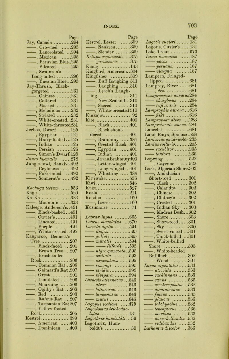 Page Jay, Canada ..294 , Crowned .... ..295 , Lanceolated . ..294 , Mexican ..295 , Peruvian Blue..295 , Pileated ..295 , Swainson’s Long-tailed ..296 , Yucatan Blue. ..295 Jay-Thrush, Black- gorgeted ..231 , Chinese ..231 , Collared ..231 , Masked ..231 , Melodious .... ..232 , Striated ..232 , White-crested...231 , White-throated231 Jerboa, Dwarf ..125 , Egyptian .... ..124 , Hairy-footed. ..125 , Indian .. .... ..125 , Persian ..126 , Simon’s Dwarf. 125 Junco hyemalis ..278 J ungle-fowl, Bankiva.492 , Ceylonese ..492 , Fork-tailed . ..492 , Sonnerat’s ..492 Kackuga tectum .... ..553 Kagu ..520 Ka-Ka ..323 , Mountain ..323 Kaleege, Anderson’s. .491 , Black-backed. ..491 , Cuvier’s ..491 , Lineated ..491 , Purple ,.491 , White-crested. .492 Kangaroo, Bennett’ s Tree .207 , Black-faced .. .201 , Brown Tree .. .207 , Brush-tailed Rock ,.206 , Common Rat.. ,.208 , Gaimard’s Rat .207 , Great .201 , Lunulated .206 , Mourning ,.206 , Ogilby’s Rat .. .208 , Red .203 , Rufous Rat .. .207 , Tasmanian Rat 207 , Y'ellow-footed Rock .205 Kestrel .399 , American .400 , Dominican .. .400 Kestrel, Lesser .... Page ..399 , Nankeen ..399 , Slender ..399 Ketupa ceylonensis . ..375 javanensis .... ..375 Kiang ..143 Kingbird, American, ..304 Kingfisher ..309 , Buff Laughing 311 , Laughing ..310 , Leach’s Laugh- ing ..311 , New-Zealand.. ..310 , Sacred ..310 , White-breasted 310 Kinkajou .. 92 Kite ..400 , Black ..401 , Black-shoul- dered ,.401 , Brahminy ..384 , Crested Black. .401 , Egyptian ,.401 , Indian ,.401 , Ja vanBrahminy400 , Letter-winged .401 , Long-winged.. ,.401 , Whistling ,.384 Kittiwake .536 Kiwi .546 Knot .527 Koala .211 Koodoo .160 , Lesser ,.160 Kusimanse . 71 Labrax lupus .665 Labrus maculatus .. .670 Lacerta agilis .594 dugesi .595 gulloti .595 muralis .594 lilfordi .. .595 nigro-punctata. .595 ocellata .593 oxycephala .595 simonyi .595 viridis .593 vivipara .594 Lachesis alternatus .. .646 atrox .646 bilineatus .646 lanceolatus .646 mutus .646 Lugopus scoticus .475 Layostomus trichodac - tylus .131 Lagothrix humboldti. . 39 Lagothrix, Hum- boldt’s . 39 Page Lagotis cuvieri 131 Lagotis, Cuvier’s 131 Lake-Trout 673 Lama huanacos 187 pacos 187 peruana 187 vicugna 187 Lampern, Fringed- lipped 681 Lamprey, River 681 , Sea 681 Lamprocolius auratus 284 chalybceus 284 rujiventris 284 Lamprophis aurora ...616 fiski 616 Lampropsar dives ...283 Lamprotornis census. .284 Lancelet 681 Land-Emys, Spinose .558 Laniarius quadricolor 235 Lanius collurio 235 excubitor 235 Lahtora 235 Lapwing 522 , Cayenne 522 Lark, Algerian Shore.303 , Andalucian Short-toed 301 , Rlack 302 , Calandra 302 , Chinese 302 , Clotbey’s 302 , Crested 301 , Indian Sky ...300 , Madras Bush...302 , Shore 303 , Short-toed 301 , Sky 300 , Sweet-voiced ...301 , Thick-billed ...301 , White-bellied Shore 303 , White-headed Bullfinch 302 , Wood 301 Larus argentatus 533 atricilla 533 cachinnans 535 canus 535 cirrhocephalus.. .532 dominicanus ...533 fuscus 535 glaucus 536 ichthyaetus 532 leucopterus 536 marinus 533 novce-hollandice .532 ridibundus 532 Lathamus discolor .. .366