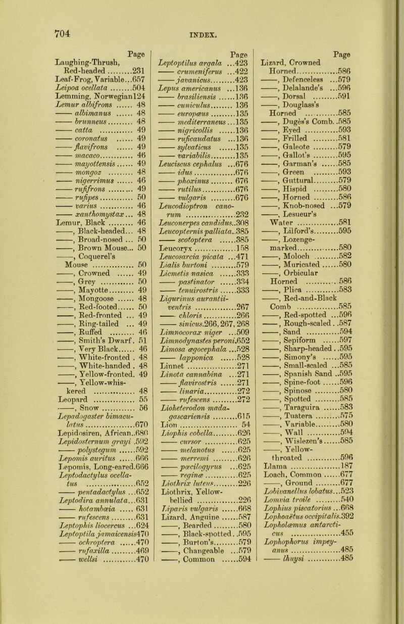 Page Laughing-Thrush, Red-headed 231 Leaf-Frog, Variable...657 Leipoa ocdlatci 504 Lemming, Norwegianl24 Lemur albifrons 48 albimanus 48 brunneus 48 catta 49 coronatus 49 flavifrons 49 macaco 46 mayottensis 49 • mongoz 48 nigerrimus 46 nififrons 49 rufipes 50 varius 46 xanthomystax... 48 Lemur, Black 46 , Black-headed... 48 , Broad-nosed ... 50 , Brown Mouse... 50 —, Coquerel’s Mouse 50 —, Crowned 49 —, Grey 50 —, Mayotte 49 —, Mongoose 48 —, Red-footed 50 , Red-fronted ... 49 , Ring-tailed ... 49 , Ruffed 46 , Smith’s Dwarf. 51 , Very Black 46 , White-fronted . 48 , White-handed . 48 , Yellow-fronted. 49 , Y^ellow-whis- kered 48 Leopard 55 , Snow 56 Lepadogaster bimacu- latus 670 Lepidosiren, African..680 Lepidosternum grayi .592 polystegum 592 Lepomis auritus 666 Lepomis, Long-eared.666 Leptodactylus ocella- tus 652 pentadactylus ...652 Leptodira annulata...631 hotamboeia 631 rufescens 631 Leptophis liocercus ...624 Lep topti la ja m aicensisA 7 0 ochroptera 470 ■ rvfaxilla 469 ■ wellsi 470 Page Lept op t ilus arga la, ... 423 crumeniferus ...422 javanicus 423 Lepus americanus ...136 brasiliensis 136 cuniculus 136 europceus 135 mediterraneus ... 135 nigricollis 136 ruficaudatus ... 136 sylvaticus 135 variabilis 135 Leuciscus cephalus ...676 idus 676 phoxinus 676 rutilus 676 vulgaris 676 Leucodioptron cano- rum 232 Leuconerpes card.idus..308 Leucopternis palliata.. 385 scotoptera 385 Leucoryx 158 Leucosarcia picata .. .471 Lialis burtoni 579 Licmetis nasica 333 pastinator 334 tenuirostris 333 Ligurinus aurantii- ventris 267 —- chloris 266 sinicus.266,267,268 Limnocorax niger ...509 Limnodynastes peroniSS&l Limosa cegocephala ...528 lapponica 528 Linnet 271 Linota cannabina ...271 flavirostris 271 linaria 272 rufescens 272 Liolieterodon mada- gascariensis 615 Lion 54 Liophis cobella 626 cursor 625 melanotus 625 merremi 626 poecilogyrus ... 625 regince 625 Liothrix luteus 226 Liothrix, Yellow- bellied 226 TAparis milgaxis 668 Lizard, Anguine 587 , Bearded 580 , Black-spotted. .595 , Burton’s 579 , Changeable ...579 , Common 594 Page Lizard, Crowned Horned , Defenceless .. .579 , Delalande’s .. .596 , Dorsal , Douglass’s Horned .585 , Duges’s Comb. .585 , Eyed , Frilled , Galeote .579 , Gallot’s .595 , Garman’s .585 , Green .593 , Guttural .579 , Hispid , Horned , Knob-nosed .. .579 , Lesueur’s Water .581 , Lilford’s .595 , Lozenge- marked .580 , Moloch .582 , Muricated .580 , Orbicular Horned .586 , Plica .583 , Red-and-Black Comb , Red-spotted .. .596 , Rough-scaled . .587 , Sand , Sepiform .597 , Sharp-headed . .595 , Simony’s .595 , Small-scaled .. .585 , Spanish Sand , ..595 , Spine-foot , Spinose .580 , Spotted ,.585 , Taraguira ..583 , Tuatera , Variable ..580 , Wall ..594 , Wislezen’s ..585 , Yellow- throated ..596 Llama ..187 Loach, Common ..677 , Ground ..677 Lobivanellus lobatus. ..523 Lomvia troile ..540 Lophius piscatorius . ..668 Lophoaetus occipitalis.392 Lopholcemus antarcti- cus ..455 Lophophorus impey- anus ..485 Ihuysi ..485