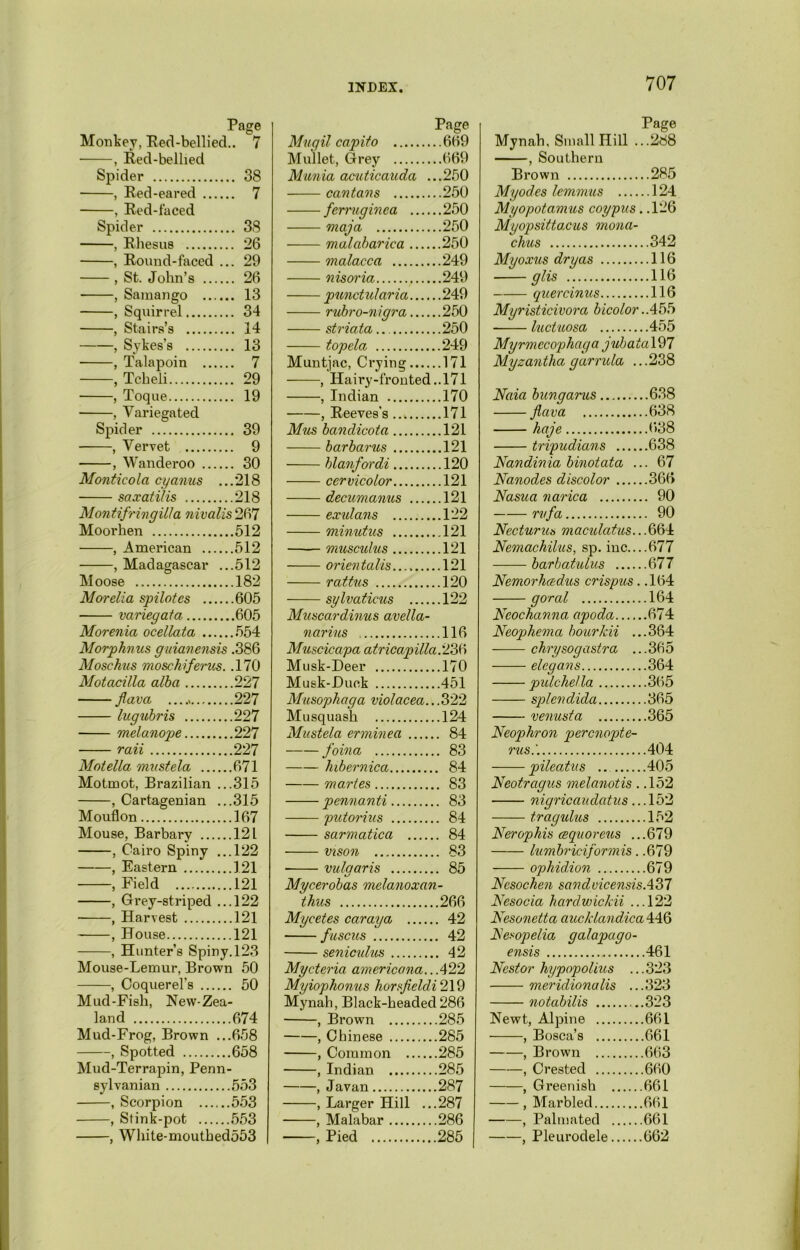 Page Monkey, Red-bellied.. 7 , Red-bellied Spider 38 , Red-eared 7 , Red-faced Spider 38 , Rhesus 26 , Round-faced ... 29 , St. John’s 26 , Samango 13 , Squirrel. 34 , Stairs’s 14 , Sykes’s 13 , Talapoin 7 , Tcheli 29 , Toque 19 , Variegated Spider 39 , Vervet 9 , Wanderoo 30 Monticola cyanus ...218 saxatilis 218 Montifr ingill a nivalis 267 Moorhen 512 , American 512 , Madagascar ...512 Moose 182 Morelia spilotes 605 variegata 605 Morenia ocellata 554 Morphnus guianensis .386 Moschus mosckiferus. .170 Motacilla alba 227 flava ...., 227 lugubris 227 melanope 227 raii 227 Motella mvstela 671 Motmot, Brazilian ...315 , Cartagenian ...315 Mouflon 167 Mouse, Barbary 121 , Cairo Spiny ...122 , Eastern 121 , Field 121 , Grey-striped ...122 • , Harvest 121 , House 121 , Hunter’s Spiny. 123 Mouse-Lemur, Brown 50 , Coquerel's 50 Mud-Fish, New-Zea- land 674 Mud-Frog, Brown ...658 , Spotted 658 Mud-Terrapin, Penn- sylvanian 553 , Scorpion 553 , Stink-pot 553 , White-mouthed553 Muqil capito Page ..669 Mullet, Grey ..669 Mania acuticauda . ..250 can tans ..250 ferruginca .... ..250 maja ..250 malaharica ..250 malacca ..249 nisoria ..249 punctularia ..249 rubro-nigra ..250 striata ..250 topela ..249 Muntjac, Crying ..171 ——, Hairy-fronted ..171 , Indian ..170 , Reeves's ..171 Mus bandicota ..121 barbarns ..121 blanfordi ..120 cervicolor ..121 decumanus ..121 exulans ..122 minutus .121 musculus ..121 orientalis ..121 rattus ..120 sylvaticus ..122 Muscardinus avella- narius ..116 Muscicapa atricapilla.233 Musk-Deer ..170 Musk-Duck ..451 Musophaga violacea.. ,.322 Musquash .124 Mu stela ermine a . 84 foina . 83 hibernica . 84 martes ,. 83 pennanti . 83 putorius . 84 sarmatica . 84 vison . 83 ■ vulaaris . 85 Mycerobas melanoxan- thus .266 Mycetes caraya . 42 fuscus . 42 seniculus . 42 Mycterici americana.. .422 Myiophonus horsfieldi 219 Mynah, Black-headed 286 , Brown .285 , Chinese .285 , Common .285 , Indian .285 , Javan .287 , Larger Hill .. .287 , Malabar .286 , Pied 285 Page Mynah. Small Hill ...288 , Southern Brown 285 Myodes lemmus 124 Myopotamus coy pus. .126 Myopsittacus mona- chus 342 Myoxus dry as 116 glis 116 quercinus 116 Myristicivora bicolor ..455 luctuosa 455 Myrmccophaga juhaia\97 Myzantha garrula ...238 Naia bungarus 638 flava 638 haje 638 tripudians 638 Nandinia binotata ... 67 Nanodes discolor 366 Nasua narica 90 rvfa 90 Necturus maculatas...664 Nemachilus, sp. inc 677 barbatulus 677 Nemorluedus crispus. .164 goral 164 Ncochanna apoda 674 Neophema bourkii ...364 chrysogastra ...365 elcgans 364 pulchella 365 splenclida 365 venusta 365 Neophron percnopte- rus.'. 404 pileatus ... 405 Neotragus melanotis. .152 nigricaudatus... 152 tragulus 152 Nerophis cequorcus ...679 lumbriciformis. .679 ophidion 679 Nesochen sandvicensisA37 Nesocia hardwicldi ...122 Nesonetta aucklandica 446 Nesopelia galapago- ensis 461 Nestor hypopolius ...323 meridionalis ...323 notabilis ..323 Newt, Alpine 661 , Bosca’s 661 , Brown 663 , Crested 660 , Greenish 661 , Marbled 661 , Palmated 661 , Pleurodele 662