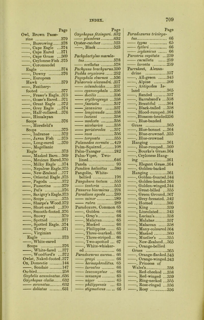 Page Owl, Brown Tasse- rine ..379 , Burrowing.... ..378 , Cape Eagle . ..374 , Cape Eared . ..371 , Cape Grass . ..369 , Ceylonese Fish .375 , Coromandel Eagle ..374 , Downy ..376 , European Hawk ..379 , Feathery- footed ..377 , Fraser’s Eagle ..375 , Gosse’s Eared. ..371 , Great Eagle . ..372 , Grey Eagle . ..374 , Half-collared. ..376 , Himalayan Scops ..376 , Horsfield’s Scops ..375 , Indranee .... ..372 , Javan Fish . ..375 , Long-eared . ..370 , Magellanic Eagle , 373 Masked Barn.. .369 , Mexican Eared.370 , Milky Eagle ...374 , Nepalese Eagle.375 , New-Zealand ...377 , Oriental Eagle .375 , Pagoda 372 , Passerine 379 , Pel’s 376 , Sa'tigny’sEagle.373 , Scops 375 , Sharpe’s Wood.372 , Short-eared ...370 , Smooth-footed..376 , Snowy 379 , Spotted 377 • , Spotted Eagle. .374 , Tawny 371 , Virginian Eagle 373 , White-eared Scops 376 , White-faced ...377 , Woodford’s ...372 Owlet, Naked-footed.377 Ox, Domestic 144 , Sondaic 147 Ox-bird 258 Oxybelis acuminatus. .636 Oxyrhopus clcelia 632 coronatus 632 doliaius 631 Page Oxyrhopus Jitzingeri. .632 plumbeus 632 Oyster-catcher 523 , Black 523 Pachydactylus macula- tus 578 ocellatus 578 Pachynus brachyurus. 350 Padda oryzivora 252 Pagopkila eburnea ...536 Palceornis alexandri. .357 columboides 357 cyanocephala ...356 docilis 356 erythrogenys ...358 fasciata 357 javanicus 357 longicauda 358 luciani 358 modesta 358 nicobarica 358 peristerodes ...357 rosa 356 torquata 355 Palamedea cornuta ...429 Palm-Squirrel 108 Palm-Tanager 242 Palm-Viper, Two- lined 646 Panda 93 Pandion haliaetus ...380 Pangolin, White- bellied 198 Pangshura tectum ...553 tentoria 553 Panurus biarmicus ...224 Paradisea apoda 289 minor 289 rubra 289 Paradoxure, Common 65 , Golden 66 , Gray’s 66 , Malayan 65 , Masked 66 , Philippine 65 , Three-marked.. 66 , Three-striped .. 66 , Two-spotted ... 67 , White-whisker- ed 66 Paradoxurus aureus.. 66 grayi 66 hermaphroditus. 65 larvatus 66 leucomystax ... 66 musanga 65 niger 65 philippensis ... 65 stigmaticus...... 66 Page Paradoxurus trivirga- ins 66 typus 65 tytleri 66 zeylanicus 66 Paroaria capitata ...259 cncullata 259 larvata 259 Parrakeet, Alexan- drine 357 , All-green 343 , Alpine 366 , Antipodes Is- land 365 , Banded 357 , Barraband’s ...358 , Beautiful 364 , Black-tailed ...358 , Blood-rumped..364 , Blossom-headed356 , Blue-banded Grass 365 , Blue-bonnet ...364 , Blue-crowned. .355 , Blue-crowned Hanging 361 , Blue-rumped...360 , Bourke’s Grass.364 , Ceylonese Hang- ing 361 , Elegant Grass..364 ——, Golden-backed Hanging 361 , Golden-fronted.344 , Golden-headed.366 , Golden-winged.344 , Great-billed ...355 , Green Ground..367 , Grey-breasted. .342 , Horned 366 , King 359 , Lineolated 343 , Lucian’s 358 , Malabar 357 , Malaccan 358 , Many-coloured 364 , Masked 360 , Mueller’s 355 , New-Zealand...365 , Orange-bellied Grass 365 , Orange-flanked.343 , Orange-winged.343 , Princess of Wales’s 358 , Red-cheeked ...358 , Red-winged ...359 , Ring-necked ...355 , Rose-ringed ...356 , Rosy 356