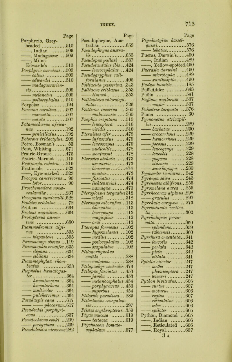 Page Porphyrio, Grey- headed 510 , Indian 509 , Madagascar ...509 -, Milne- Edwards’s 510 Porphyrio car ideas ...509 calvus 509 edwardsi 510 madagascarien- sis 509 melanotus 509 poliocephalus ... 510 Porpoise 194 Porzana Carolina 507 mar net ta 507 notata 507 Potamochoerus africa- nus 192 penicillaitis 192 Potorous tridactylus. .208 Potto, Bosnian’s 53 Pout, Whiting 671 Prairie-Grouse 475 Prairie-Marmot 115 Prat incola rubetra ...219 Pratincole 523 , Eye-marked ...523 Procyon cancrivorus... 90 lotor 90 Prosthemadera novee- zealandice 237 Prosymna sundevalli..Q'28 Proteles cristatus 72 Proteus 664 Proteus anguinus 664 Protopterus annec- tens 680 Psammodromus algi- rus 595 hispanicus 595 Psammomys obesus ... 119 Psammophis crucifer .635 elegans 634 sibilans 634 Psammophylax rhom- beatus 633 Psephotus hcematogas- ter 364 hcematonotus ...364 hcematorhous ... 364 multicolor 364 pulcherrimus ...364 Pseudaspis cana 617 pkocarum.Sn Pscudechis porphyri- acus 637 Pseudochirus cooki ... 209 peregrinus 209 Pseudoleistes uirescens 282 Page Pseudophryne, Aus- tralian 653 Pseudophryne austra- lis 653 Pseudopus pallasi ... 587 Pseudotantalus ibis ...424 leucocephalus ...424 Pscudogryphus Cali- fornian us 406 Psittacula passerina. .343 Psittacus eritkacus ...353 timneh 353 Psitteuteles chlorolcpi- dotus 326 Psittinus incertus ...360 malaccensis 360 Psophia crepitans ...515 leucoptera 516 viridis 516 Pternistes afer 478 infuscatus 479 leucoscepus 479 nudicollis 478 swainsoni 478 Pterocles alchata 473 arenarius.... 473 bicinctus 474 exustus 473 fasciatus 474 lichtensieini 474 namaqua 473 Ptcroglossus torquatus 318 wiedi 318 Pteromys alborufus... 113 inornatus 113 leucogenys 113 magnificus 112 oral 112 Pteropus formosus ... 102 hypomelanus ...102 raedius 102 poliocephalus ... 102 scapulatus 102 Ptilonorhynchus smithi 288 violaceus 288 Ptilopachys ventrails .476 Ptilopusfasciatus ...453 jambu 453 melanocephalus .454 porphyraceus ...453 superbus 454 Ptilorhis paradisea .. .289 Ptilostomus senegalen- sis 297 Ptistes erythropterus. .359 Ptyas mucosa 619 testacea 619 Ptychozoon homalo- cephalum 577 Page Ptyodactylus hassel- quisti 576 lobatus 576 Pucras, Darwin’s 490 , Indian 489 , Yellow-spotted.490 Pucrasia darwini ...490 microlopha 489 xanthospila 490 Pudua humilis 185 Puff-Adder 643 Puffin 541 Puffnus anglorum ...537 major 537 Pulsatrix torquata ...376 Puma 60 Pycnonotus atricapil- lus 229 barbatus 230 crocorrhous 229 hcemorrhous 229 jocosus 229 leucogenys 229 leucotis 228 Vygceus 228 sinensis 229 Pygosceles tceniaUos ...542 Pyranga saira 243 Pyrenestes albifrons...255 Pyromelana aurea ...255 Pyrrhocorax alpinus..298 qraculus 297 Pyrrhula europaa ...273 Pyrrhulcuuda vertica- 'lis 302 Pyrrhidopsis perso- nata 360 splendens 359 tabuensis 360 Pyrrhura crucntata...341 leucotis 342 per lata 342 picta 342 vittata 341 Pytelia citerior 247 melba 247 phcenicoptera ...247 wieneri 247 Python bivittatus 606 curtus 607 molurus 606 regius 607 reticulatus 606 seba 606 spilotes .605 Python, Diamond ...605 , Indian 606 , Reticulated ...606 , Royal 607 3 A