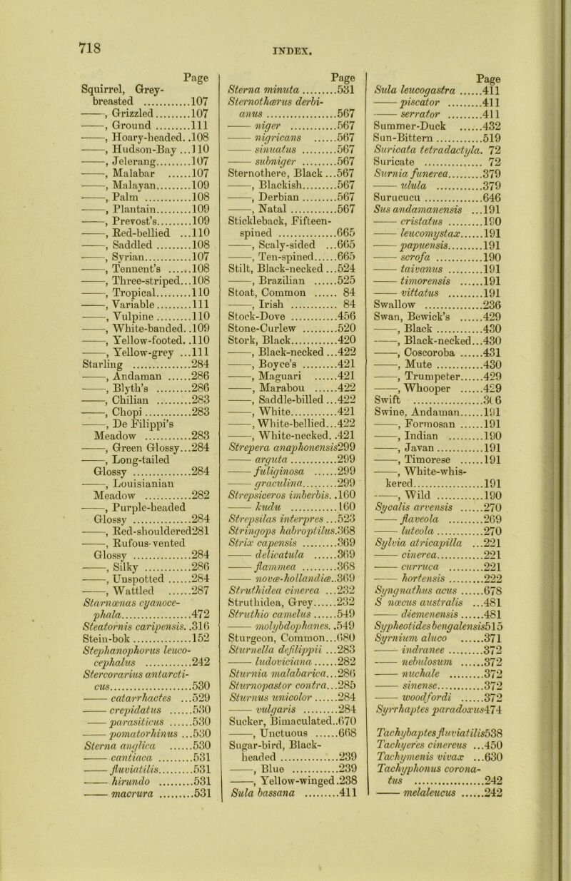 Page Squirrel, Grey- breasted 107 , Grizzled 107 , Ground Ill , Hoary-headed. .108 , Hudson-Bay ...110 , Jelerang 107 , Malabar 107 , Malayan 109 • , Palm 108 , Plantain 109 , Prevost’s 109 ——, Red-bellied ...110 , Saddled 108 , Syrian... 107 — , Tennent’s ..108 , Three-striped.. .108 , Tropical 110 , Variable Ill , Vulpine 110 , White-banded. .109 , Yellow-footed. .110 , Yellow-grey ...111 Starling 284 , Andaman 286 , Blyth’s 286 , Chilian 283 , Chopi 283 , De Filippi’s Meadow 283 , Green Glossy...284 , Long-tailed Glossy 284 , Louisianian Meadow 282 , Purple-headed Glossy 284 , Red-shouldered281 , Rufous-vented Glossy 284 , Silky 286 , Unspotted 284 , Wattled 287 Starnoenas cyanocc- pkala 472 Steatornis caripensis. .316 Stein-bok 152 Stepkanopkorus leuco- cephalus 242 Stercorarius antarcti- cus 530 catarrhactes ...529 crepidatus 530 parasiticus 530 pomatorkinus .. .530 Sterna anglica 530 cantiaca 531 fluviatilis 531 hirundo 531 macrura 531 Page Sterna minuta 531 Sternotkcsrus derbi- anus 567 niger 567 nigricans 567 sinualus 567 subniger 567 Sternothere, Black ...567 , Blackish 567 , Derbian 567 , Natal 567 Stickleback, Fifteen- spined 665 , Scaly-sided ...665 , Ten-spined 665 Stilt, Black-necked ...524 , Brazilian 525 Stoat, Common 84 , Irish 84 Stock-Dove 456 Stone-Curlew 520 Stork, Black 420 , Black-necked ...422 , Boyce’s 421 , Maguari 421 , Marabou 422 , Saddle-billed...422 , White 421 , White-bellied.. .422 , White-necked. .421 Strepera anapkonensis299 arguta 299 fuliginosa 299 graculina 299 Strepsiceros imberbis. .160 kudu 160 Strepsilas interpres ...523 Stringops kabroptilus.368 Strix capensis 369 delicatula 369 flammeci 368 nov<e-hollandi<B.. 369 Struthidea cinerea ...232 Struthidea, Grey 232 Struthio camelus 549 molybdophanes. .549 Sturgeon, Common...680 Sturnella dcfilippii ...283 ludoviciana 282 Sturnia malabarica...286 Sturnopastor contra.. .285 Sturnus unicolor 284 vulgaris 284 Sucker, Bimaculated..670 , Unctuous 668 Sugar-bird, Black- headed 239 , Blue 239 , Yellow-winged.238 Sula bassana 411 I Page Sula leucogastra 411 piscator 411 serrator 411 Summer-Duck 432 Sun-Bittern 519 Suricata tetradactyla. 72 Suricate 72 Surnia funerea 379 ulula 379 Surucucu 646 Susandamanensis ...191 cristatus 180 leucomystax 191 papuensis 191 scrofa 190 taivanus 191 timorensis 191 vittatus 191 Swallow 236 Swan, Bewick’s 429 , Black 430 , Black-necked...430 , Coscoroba 431 , Mute 430 , Trumpeter 429 , Whooper 429 Swift 3C6 Swine, Andaman 191 , Formosan 191 , Indian 190 , Javan 191 , Timorese 191 , White-whis- kered 191 , Wild 190 Sycalls arvensis 270 flaveola 269 luteola 270 Sylvia atricapilla ...221 cinerea 221 cur rue a 221 hortensis 222 Syngnathus acus 678 S noecus australis ...481 —— diemenensis 481 Sypheotides bcngalensisb 15 Syrnium aluco 371 indranee 372 nebulosum 372 nuckale 372 sinensc 372 woodfordi 372 Syrrhaptes paradox ?«s474 Tachybaptes fluviatilis538 Tacky ores cinereus ...450 Tackym enis v i vax ... 630 Tachyphonus corona- tus 242 — melaleucus 242