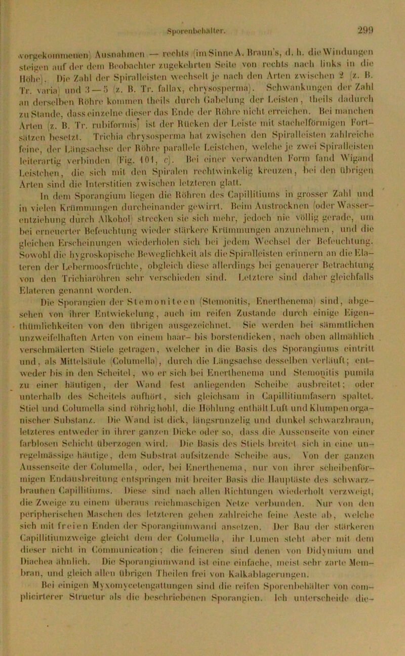 tvorgekominenen Ausnahmen — rechts (im Sinne A. Braun 8, d. h. die \\ iuditng* n steifen auf der dom Beobneliler zugekebrten Seile von rechts nach links in die Höhe). Die Zahl der Spiralleisten wechselt je nach den Arten zwischen i (z. B. Tr. varia und 3 — 5 z. B. Tr. fallax, chrysosperma). Schwankungen der Zahl an derselben Bohre kommen theils durch Gabelung der Leisten, llieils dadurch zustande, dass einzelne dieser das Ende der Röhre nicht erreichen. Bei manchen Arten ,z. B. Tr. rubii'ormisj ist der Bücken der Leiste mit stachelförmigen Fort- sätzen besetzt. Trichia chrysosperma hat zwischen den Spiralleisten zahlreiche feine, der Längsachse der Röhre parallele Leistehon, welche je zwei Spiralleisten leiterartig verbinden (Fig. 101, c). Bei einer verwandten Form fand Wigand Leistehen, die sich mit den Spiralen rechtwinkelig kreuzen, bei den übrigen Arten sind die Interstitien zwischen letzteren glatt. ln dem Sporangium liegen die Böhren des Capilliliums in grosser Zahl und in vielen Krümmungen durcheinander gewirrt. Beim Austrocknen (oder Wasser- entziehung durch Alkohol) strecken sie sich mehr, jedoch nie völlig gerade, um bei erneuerter Befeuchtung wieder stärkere Krümmungen anzunehmen, und die gleichen Erscheinungen wiederholen sich bei jedem Wechsel der Beleuchtung. Sowohl die hygroskopische Beweglichkeit als die Spiralleisten erinnern an die Ela- teren der Lebermoosfrüehte, obgleich diese allerdings bei genauerer Betrachtung von den Trichiäröhren sehr verschieden sind. Letztere sind daher gleichfalls Eintoren genannt worden. Die Sporangien der Slemon i lecn (Slemonitis, Enerthenemn) sind, abge- sehen von ihrer Entwickelung, auch im reifen Zustande durch einige Eigen- thümlichkeiten von den übrigen ausgezeichnet. Sie werden bei sümmllichcn unzweifelhaften Arten von einem haar- bis borslendieken, nach oben allmählich verschmälerten Stiele getragen, welcher in die Basis des Sporangiums einlrill und, als Mittelsäule (Columella':, durch die Längsachse desselben verläuft; ent- weder bis in den Scheitel, wo ersieh bei Enerthenemn und Stemonitis pumila zu einer häutigen, der Wand fest anliegenden Scheibe ausbreitet; oder unterhalb des Scheitels aufhört, sich gleichsam in Capilliliumfasern spaltet. Stiel und Columella sind rührig hohl, die Höhlung enthält Luft und Klumpen orga- nischer Substanz. Die Wand ist dick, längsrunzelig und dunkel schwarzbraun, letzteres entweder in ihrer ganzen Dicke oder so, dass die Aussenseite von einer farblosen Schicht überzogen wird. Die Basis des Stiels breitet sich in eine un- regelmässige häutige, dem Substrat aufsitzende Scheibe aus. Von der ganzen Aussenseite der Columella, oder, bei Enerthenema, nur von ihrer scheibenför- migen Endausbreitung entspringen mit breiter Basis die llaupläsle des schwarz- brauüen Capilliliums. Diese sind nach allen Richtungen wiederholt verzweigt, die Zweige zu einem überaus reiehmasehigen Netze verbunden. Nur von den peripherischen Maschen des letzteren gehen zahlreiche feine Aeste ab, welche sich mit freien Enden der Sporauginmw and ansetzen. Der Bau der stärkeren Capilliliumzweige gleicht dem der Columella, ihr Lumen steht aber mit dem dieser nicht in Communication; die feineren sind denen von Did\inium und Diaehea ähnlich. Die Sporauginmw and ist eine einfache, meist sehr zarte Mem- bran, und gleich allen übrigen Theilen frei von Kalkablagerungen. Bei einigen Myxomycetengaltungen sind die reifen Sporenbehäller von com- plicirterer Struelur als die beschriebenen Sporangien. Ich unterscheide die-