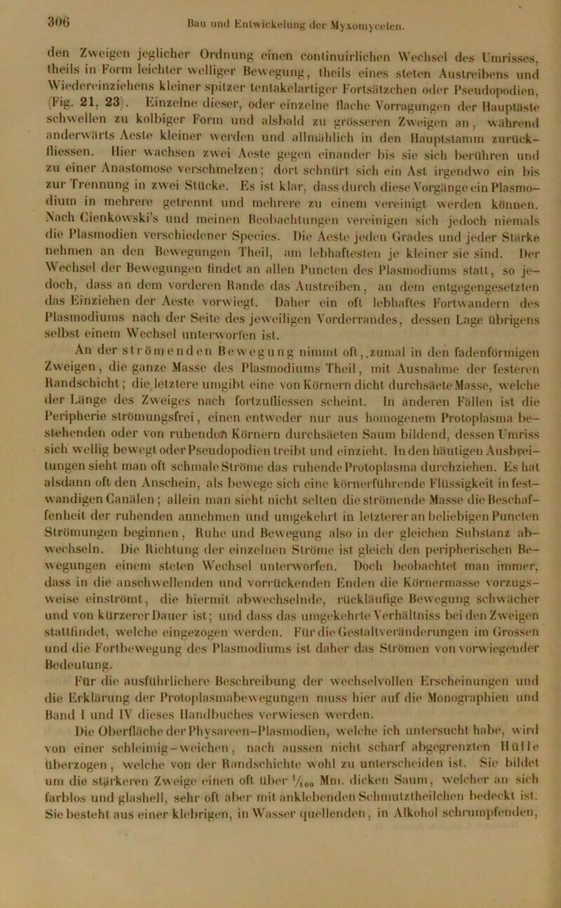 den Zweigen jeglicher Ordnung einen continuirlichen Wechsel des Umrisses, theils in Form leichter welliger Bewegung, theils eines steten Austreibens und Wiedereinziehens kleiner spitzer tcntakelartiger Fortsätzchen oder Pseudopodien, l ig. 21, 23;. hinzeine dieser, oder einzelne flache Vorragungen der Hauptäste schwellen zu kolbiger Form und alsbald zu grösseren Zweigen an. während anderwärts Aeste kleiner werden und allmählich in den Haupts tan un zurück— (Hessen. Hier wachsen zwei Aeste gegen einander bis sio sich berühren und zu einer Anastomose verschmelzen; dort schnürt sich ein Ast irgendwo ein bis zur Trennung in zwei Stücke. Es ist klar, dass durch diese Vorgänge ein Plasmo- dium in mehrere getrennt und mehrere zu einem vereinigt werden können. Nach Cienkowski's und meinen Beobachtungen vereinigen sich jedoch niemals die Plasmodien verschiedener Species. Die Aeste jeden Grades und jeder Stärke nehmen an den Bewegungen Theil, am lebhaftesten je kleiner sie sind. Der Wechsel der Bewegungen findet an allen Puncten des Plasmodiums statt, so je- doch, dass an dem vorderen Rande das Austreiben, an dem entgegengesetzten das Einziehen der Aeste vorwiegt. Daher ein oft lebhaftes Fortwandern des Plasmodiums nach der Seite des jeweiligen Vorderrandes, dessen Lage übrigens selbst einem Wechsel unterworfen ist. An der strömenden Bewegung nimmt oft,.zumal in den fadenförmigen Zweigen, die ganze Masse des Plasmodiums Theil, mit Ausnahme der festeren Randschicht; die,letztere umgibt eine von Körnern dicht durchsäeleMasse, welche der Länge des Zweiges nach fortzufliessen scheint. In anderen Füllen ist die Peripherie strömungsfrei, einen entweder nur aus homogenem Protoplasma be- stehenden oder von ruhende?) Körnern durchsäeten Saum bildend, dessen Umriss sich w ellig bewegt oder Pseudopodien treibt und einzieht. In den häutigen Ausbrei- tungen sieht man oft schmale Ströme das ruhende Protoplasma durchziehen. Es hat alsdann oft den Anschein, als bewege sich eine körnerführende Flüssigkeit infest- w andigen Canälen ; allein man sieht nicht selten die strömende Masse die Beschaf- fenheit der ruhenden annehmen und umgekehrt in letzterer an beliebigen Puncten Strömungen beginnen, Ruhe und Bew egung also in der gleichen Substanz ab- wechseln. Die Richtung der einzelnen Ströme ist gleich den peripherischen Be- wegungen einem steten Wechsel unterworfen. Doch beobachtet man immer, dass in die anschwellenden und vorrückenden Enden die Körnermasse vorzugs- weise einströmt, die hiermit abwechselnde, rückläufige Bewegung schwächer und von kürzerer Dauer ist; und dass das umgekehrte Verhältniss bei den Zweigen stattfindet, w elche eingezogen w erden. F'ür die Gestaltveränderungen im Grossen und die Fortbewegung des Plasmodiums ist daher das Strömen von vorwiegender Bedeutung. Für die ausführlichere Beschreibung der wechselvollen Erscheinungen und die Erklärung der Protoplasmabewegungen muss hier auf die Monographien und Band 1 und IV dieses Handbuches verwiesen werden. Die Oberfläche der Physareen-Plasmodien, welche ich untersucht habe, w ird von einer schleimig - weichen, nach aussen nicht scharf abgegrenzten Hülle überzogen, welche von der Randschichte wohl zu unterscheiden ist. Sie bildet um die stärkeren Zweige einen oft über yi00 Mm. dicken Saum, welcher an sich farblos und glashell, sehr oft aber mit anklebenden Schmutztheilchen bedeckt ist. Sie besteht aus einer klebrigen, in Wasser quellenden, in Alkohol schrumpfenden,