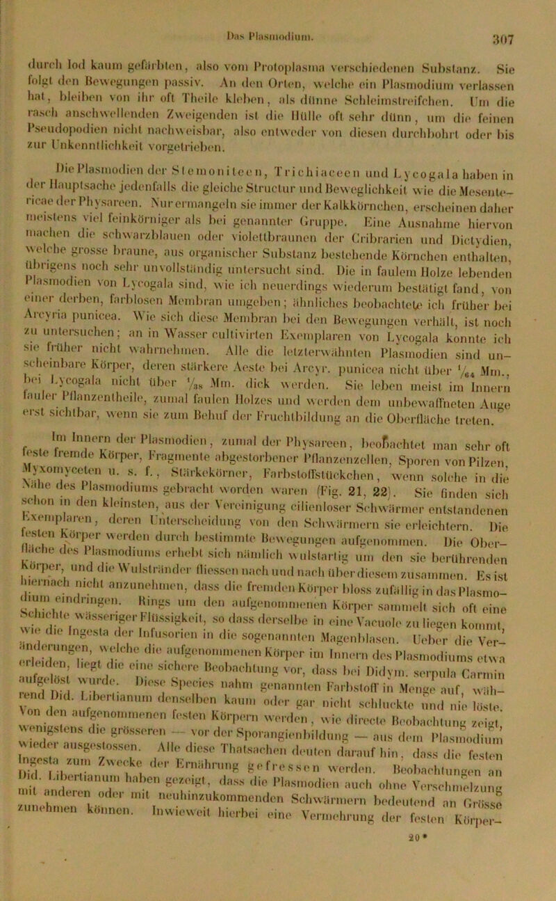 «lurcli lod kaum gefärbten, also vom Protoplasma verschiedenen Substanz. Sie folgt den Bewegungen passiv. An den Orten, welche ein Plasmodium verlassen hat, bleiben von ihr olt Iheile kleben, als dünne Schleimstreifchon. Um die rasch anschwellenden Zweigenden ist die Hülle oft sehr dünn, um die feinen I seudopodien nicht nachweisbar, also entweder von diesen durchbohrt oder bis zur l nkenntliehkeit vorgetrieben. Die Plasmodien der Slemonileen, Trichiaceen und L ycogala haben in der Hauptsache jedenfalls die gleiche Struclur und Beweglichkeit w ie die Mesente- ricae der Physnreen. Nur ermangeln sie immer der Kalkkörnchen, erscheinen daher meistens viel feinkörniger als bei genannter Gruppe. Eine Ausnahme hiervon machen die schwarzblauen oder violettbraunen der Cribrarien und Dictydien, welche grosse braune, aus organischer Substanz bestehende Körnchen enthalten' ül»ngens noch sehr unvollständig untersucht sind. Die in faulem Holze lebenden lasmodien von Lycogala sind, wie ich neuerdings wiederum bestätigt fand, von einer derben, farblosen Membran umgeben; ähnliches beobachtete ich früher bei Arcyna punicea. Wie sich diese Membran bei den Bewegungen verhält, ist noch zu untersuchen; an in Wasser cultivirten Exemplaren von Lycogala konnte ich sie früher nicht wahrnehmen. Alle die letzterwähnten Plasmodien sind un- scheinbare Körper, deren stärkere Aeste bei Arcyr. punicea nicht über '/84 Mm. bei I.ycogala nicht über Mm. dick werden. Sie leben meist im Innern lauler Pflanzentheile, zumal faulen Holzes und werden dem unbewaffneten Auge erst sichtbar, wenn sie zum Behuf der Fruchtbildung an die Oberfläche treten. Im Innern der Plasmodien, zumal der Physnreen, beoßachtet man sehr oft leste Hemde Körper, Fragmente abgestorbener Pflanzenzellen, Sporen von Pilzen Mjxoinyceten u. s. f., Stärkekörner, Farbstoffstückchen, wenn solche in die - alle des Hasnioduims gebracht worden waren (Fig. 21, 22). Sie finden sich sclion m den kleinsten, aus der Vereinigung cilienloser Schwärmer entstandenen Exemplaren, deren Unterscheidung von den Schwärmern sie erleichtern. Die cslen Körper werden durch bestimmte Bewegungen aufgenommen. Die Ober- ache des Plasmodiums erhebt sich nämlich wulstartig um den sie berührenden orper und die \\ ulslränder fliesscn nach und nach über diesem zusammen. Es ist lieinach nicht anzunehmen, dass die fremden Körper bloss zufällig in das Plasmo- dium eindringen. Rmgs um den aufgenommenen Körper sammelt sich oft eine Schichte^wässenger Flüssigkeit, so dass derselbe in eine Vacuole zu liegen kommt ' j d,<* lngesla ( ,>r lnfuson(’n in die sogenannten Magenblasen. Ueber die Ver- die aufgenommenen Körper im Innern des Plasmodiums etw a 11; vm-d« T S,t°r fltUng VOr’ dass l,,>i Did>',n- serPu*n Carmin ' f \ 7 : ,),es® SPec,os n«hm genannten Farbstoff in Menge auf wäh- f f l'anUm f,°?SOlben kauni 0,lpr «w nichl schluckte und nie löste. \°n den aufgenommenen festen Körpern werden, wie directe Beobachtung zeigt w enigstens die grösseren - vor der Sporangienbildung - aus dem Plasmodium r:r /n;di7 Thn,s;,,'h,,n ^ , <1- die <ez I d ih \ \ Ernährung gefressen werden. Beobachtungen an nff'«nH T ahen gCZ0,gt’ dass <li0 Pl»smodien auch ohne Verschmel/uim mit anderen oder mit neuhinzukommenden Schwärmern bedeutend an Grösse ■unehmen können. Inwieweit hierbei eine Vermehrung der festen Kürper- 20*