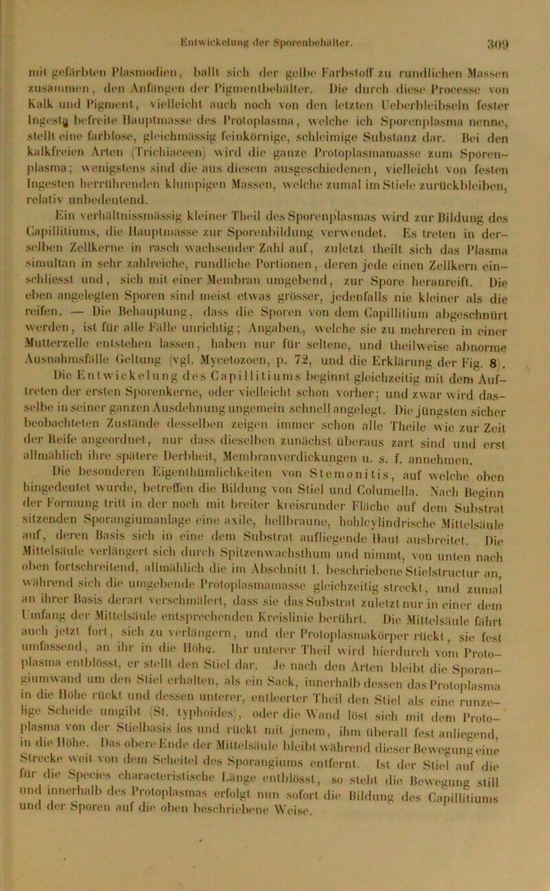 mit gefärbten Plasmodien, ballt sich der gelbe Farbstoff zu rundlichen Massen zusammen, den Anfängen der Pigmentbehälter. l)i(' durch diese Processe von Kalk, und Pigment, vielleicht auch noch von den letzten Ueberbleibseln fester Ingestg befreite Hauptmasse des Protoplasma, welche ich Sporenplasma nenne, stellt eine farblose, gleiehmässig feinkörnige, schleimige Substanz dar. Bei den kalkfreien Arten (Trichiaceen) wird die ganze Protoplasmamasse zum Sporen- plasma; wenigstens sind die aus diesem ausgeschiedenen, vielleicht von festen Ingesten herrührenden klumpigen Massen, welche zumal im Stiele Zurückbleiben, relativ unbedeutend. Ein verhaltnissmiissig kleiner Tlieil des Sporenplasmas wird zur Bildung des Capillitiums, die Hauptmasse zur Sporenbildung verwendet. Es treten in der- selben Zellkerne in rasch wachsender Zahl auf, zuletzt (heilt sich das Plasma simultan in sehr zahlreiche, rundliche Portionen, deren jede einen Zellkern ein- schliesst und, sich mit einer Membran umgebend, zur Spore heranreift. Die eben angelegten Sporen sind meist etwas grösser, jedenfalls nie kleiner als die reifen. — Die Behauptung, dass die Sporen von dem Capillitium abgesebnürt werden, ist für alle Fülle unrichtig; Angaben., welche sie zu mehreren in einer Mutterzelle entstehen lassen, haben nur für seltene, und theilweise abnorme Ausnahmsfalle Geltung (vgl. Mycetozocn, p. 72, und die Erklärung der l’ig. 8 Die Entwickelung des Capillitiums beginnt gleichzeitig mit dem Auf- treten der ersten Sporenkerne, oder vielleicht schon vorher; und zwar wird das- selbe in seiner ganzen Ausdehnung ungemein schnell angelegt. Die jüngsten sicher beobachteten Zustande desselben zeigen immer schon alle Theile wie zur Zeit der Reife angeordnet, nur dass dieselben zunächst überaus zart sind und erst allmählich ihre spätere Derbheit, Membranverdickungen u. s. f. annehmen. Die besonderen Eigenthüralichkeiten von Stemonitis, auf welche oben hingedeulet wurde, betreffen die Bildung von Stiel und Columella. Nach Beginn der Formung tritt in der noch mit breiter kreisrunder Fläche auf dem Substrat sitzenden Sporangiumanlage eine axile, hellbraune, hohleylindrischc Mittelsäule auf, deren Basis sich in eine dem Substrat aufliegende Haut ausbreitet. Die .Mittelsäule verlängert sich durch Spitzenwachsthum und nimmt, von unten nach oben fortschreitend, allmählich die im Abschnitt I. beschriebeneStielstruclur an, während sich die umgebende Proloplasmamns.se gleichzeitig streckt, und zumal an ihrer Basis derart verschmälert, dass sie das Substrat zuletzt nur in einer dem Umfang der Miltelsüule entsprechenden Kreislinie berührt. Die Miltelsäule fährt auch jetzt fort, sich zu verlängern, und dm- Protoplasmakörper rückt, sie fest umfassend, an ihr in die Höhe. Ihr unterer Theil wird hierdurch vom Proto- plasma entblösst, er stellt den Stiel dar. Je nach den Arten bleibt die Sporan- giumwand um den Stiel erhalten, als ein Sack, innerhalb dessen das Protoplasma in die Höhe rückt und dessen unterer, entleerter Theil den Stiel als eine runze- lige Scheide umgibt (St. typhoides), oder die Wand löst sich mit dem Proto- plasma von der Stielbasis los und rückt mit jenem, ihm überall fest anliegend in die Höhe. Das obere Ende der Mittelsäule bleibt w ährend dieser Bewegung eine Strecke weit von dem Scheitel des Sporangiums entfernt. Ist der Stiel auf die lilr die Species characteristische Länge entblösst, so steht die Bewegung still und innerhalb des Protoplasmas erfolgt nun sofort die Bildung des Capillitiums und der Sporen auf die oben beschriebene Weise.