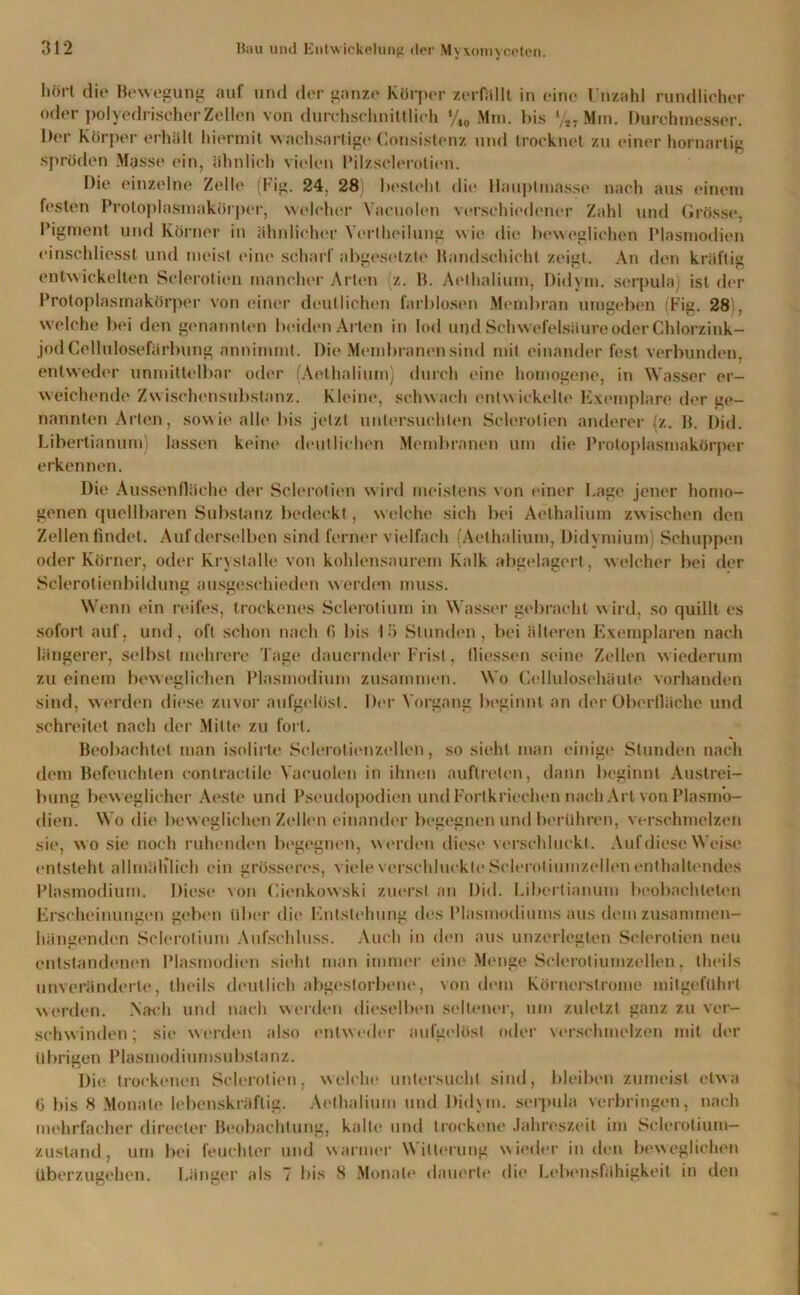 hört die Bewegung auf und der ganze Körper zerfällt in eine Unzahl rundlicher oder polyedrischer Zellen von durchschnittlich %0 Mm. bis */,- Mm. Durchmesser. Der Körper erhält hiermit wachsartige Consistenz und trocknet zu einer hornartig spröden Masse ein, ähnlich vielen Pilzsclerolien. Die einzelne Zelle Fig. 24. 28) besieht die Hauptmasse nach aus einem festen Proloplasmakörper, welcher Vacuolen verschiedener Zahl und Grösse, Pigment und Körner in ähnlicher Yertheilung wie die beweglichen Plasmodien einschliesst und meist eine scharf abgesetzte Handschicht zeigt. An den kräftig entwickelten Sclerotien mancher Arten z. B. Aethalium, Didym. serpula) ist der Protoplasmakörper von einer deutlichen farblosen Membran umgeben (Fig. 28 . welche bei den genannten beiden Arten in lod und Schwefelsäure oder Chlorzink- jodCellulosefärbung annimmt. Die Membranen sind mit einander fest verbunden, entweder unmittelbar oder (Aethalium) durch eine homogene, in Wasser er- weichende Zwischensubstanz. Kleine, schwach entwickelte Exemplare der ge- nannten Arten, sowie alle bis jetzt untersuchten Sclerotien anderer (z. B. Did. Libertianum) lassen keine deutlichen Membranen um die Protoplasmakörper erkennen. Die Aussenflüche der Sclerotien wird meistens von einer Lage jener homo- genen quellbaren Substanz bedeckt, welche sich bei Aethalium zwischen den Zellen findet. Auf derselben sind ferner vielfach (Aethalium, Didymium) Schuppen oder Körner, oder Krystalle von kohlensaurem Kalk abgelagert, welcher bei der Sclerotienbildung ausgeschieden werden muss. Wenn ein reifes, trockenes Sclerotium in Wasser gebracht wird, so quillt es sofort auf, und, oft schon nach f> bis 15 Stunden, bei älteren Exemplaren nach längerer, selbst mehrere Tage dauernder Frist, fliessen seine Zellen wiederum zu einem beweglichen Plasmodium zusammen. Wo Cellulosehäute vorhanden sind, werden diese zuvor aufgelöst. Der Vorgang beginnt an der Oberfläche und schreitet nach der Milte zu fort. Beobachtet man isolirte Sclerotienzellen, so sieht man einige Stunden nach dem Befeuchten conlractile Vacuolen in ihnen auftrelen, dann beginnt Austrei- bung beweglicher Aeste und Pseudopodien und Fortkriechen nach Art von Plasmo- dien. Wo die beweglichen Zellen einander begegnen und berühren, verschmelzen sie, wo sie noch ruhenden begegnen, werden diese verschluckt. Auf diese Weise entsteht allmählich ein grösseres, viele verschluckte Sclerotiumzellen enthaltendes Plasmodium. Diese von Cienkowski zuerst an Did. Libertianum beobachteten Erscheinungen geben über die Entstellung des Plasmodiums aus dem zusammen- hängenden Sclerotium Aufschluss. Auch in den aus unzerlegten Sclerotien neu entstandenen Plasmodien sicht man immer eine Menge Sclerotiumzellen, theils unveränderte, theils deutlich abgestorbene, von dem Körnerstrome mitgeführt werden. Nach und nach werden dieselben seltener, um zuletzt ganz zu ver- schwinden; sie werden also entweder aufgelöst oder verschmelzen mit der übrigen Plasmodiumsubstanz. Die trockenen Sclerotien, welche untersucht sind, bleiben zumeist etwa (3 bis 8 Monate lebenskräftig. Aethalium und Didym. serpula verbringen, nach mehrfacher direcler Beobachtung, kalte und trockene Jahreszeit im Sclerotium— zusland, um bei feuchter und warmer Witterung wieder in den beweglichen Uberzugehen. Länger als 7 bis 8 Monate dauerte die Lebensfähigkeit in den