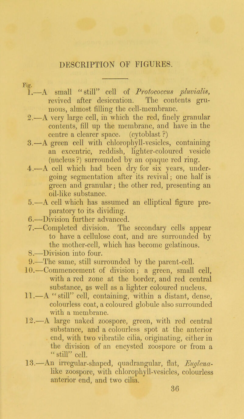 DESCRIPTION OF FIGURES. Fig. 1. —A small “still” cell of Protococcus pluvialis, revived after desiccation. The contents gru- mous, almost filling the cell-membrane. 2. —A very large cell, in which the red, finely granulär contents, fill up the membrane, and have in the centre a clearer space. (cytoblast P) 3. —A green cell with chlorophyll-vesicles, containing an excentric, reddish, lighter-coloured vesicle (nucleus ?) surrounded by an opaque red ring. 4. —A cell which had been dry for six years, under- going Segmentation after its revival; one half is green and granulär; the other red, presenting an oil-like substance. 5. —A cell which has assumed an elliptical figure pre- paratory to its dividing. 6. —Division further advanced. 7. —Completed division. The secondary cells appear to have a cellulose coat, and are surrounded by the mother-cell, which has become gelatinous. 8. —Division into four. 9. —The same, still surrounded by the parent-cell. 10. —Commencement of division; a green, small cell, with a red Zone at the border, and red central substance, gs well as a lighter coloured nucleus. 11. —A “still” cell, containing, within a distant, dense, colourless coat, a coloured globule also surrounded with a membrane. 12. —A large naked zoospore, green, with red central substance, and a colourless spot at the anterior end, with two vibratile cilia, originating, either in the division of an encvsted zoospore or from a “ still” cell. 13. —An irregular-shaped, quadrangular, flat, Euglenci- like zoospore, with chlorophyll-vesicles, colourless anterior end, and two cilia.
