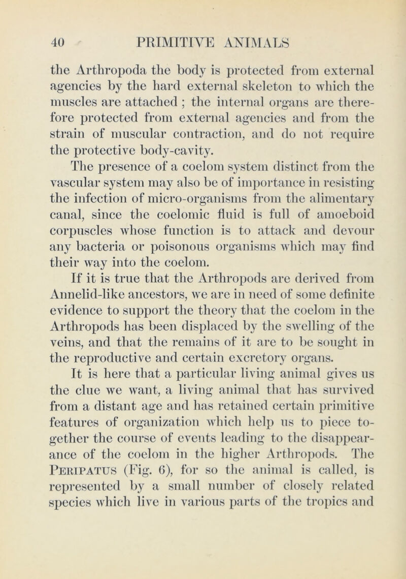 the Arthropoda the body is protected from external agencies by the hard external skeleton to which the muscles are attached ; the internal organs are there- fore protected from external agencies and from the strain of muscular contraction, and do not require the protective body-cavity. The presence of a coelom system distinct from the vascular system may also be of importance in resisting the infection of micro-organisms from the alimentary canal, since the coelomic fluid is full of amoeboid corpuscles whose function is to attack and devour any bacteria or poisonous organisms which may find their way into the coelom. If it is true that the Arthropods are derived from Annelid-like ancestors, we are in need of some definite evidence to support the theory that the coelom in the Arthropods has been displaced by the swelling of the veins, and that the remains of it are to be sought in the reproductive and certain excretory organs. It is here that a particular living animal gives us the clue we want, a living animal that has survived from a distant age and has retained certain primitive features of organization which help us to piece to- gether the course of events leading to the disappear- ance of tlie coelom in the higher Arthropods. The Peuipatus (Fig. 6), for so the animal is called, is represented by a small number of closely related species which live in various parts of the tropics and