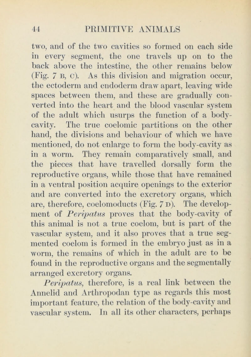 two, and of the two cavities so formed on each side in every segment, the one travels up on to the back above the intestine, the other remains below (Fig. 7 B, c). As this division and migration occur, the ectoderm and endoderm draw apart, leaving wide spaces between them, and these are gradually con- verted into the heart and the blood vascular system of the adult which usurps the function of a body- cavity. The true coelomic partitions on the other hand, the divisions and behaviour of which we have mentioned, do not enlarge to form the body-cavity as in a worm. They remain comparatively small, and the pieces that have travelled dorsally form the reproductive organs, while those that have remained in a ventral position acquire openings to the exterior and are converted into the excretory organs, which are, therefore, coelomoducts (Fig. 7 d). The develop- ment of Perqyatus proves tliat the body-cavity of this animal is not a true coelom, but is jmrt of the vascular system, and it also j^i’oves that a true seg- mented coelom is formed in the embryo just as in a worm, the remains of which in the adult are to be found in the reproductive organs and the segmentally arranged excretory organs. Peripatm, therefore, is a real link between the Annelid and Arthropodan type as regards this most important feature, tlie relation of the body-cavity and vascular system. In all its other characters, perhaps