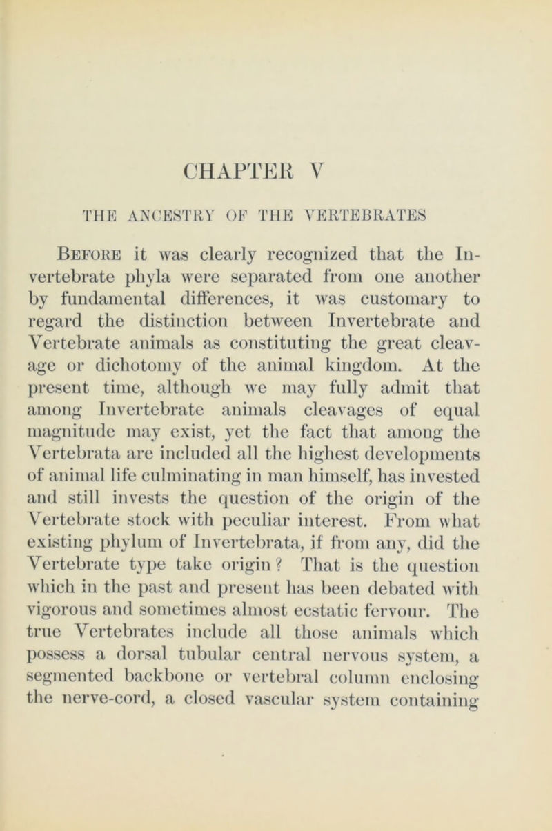 THE ANCESTRY OE THE VERTEBRATES Before it was clearly recognized that the In- vertebrate phyla were separated from one another by fundamental difterences, it was customary to regard the distinction between Invertebrate and Vertebrate animals as constituting the great cleav- age or dichotomy of the animal kingdom. xVt the present time, altliough we may fully admit that among Invertebrate animals cleavages of ecpial magnitude may exist, yet the fact that among the \ertebrata are included all the highest developments of animal life culminating in man himself, has invested and still invests the (piestion of the origin of the \ertel)rate stock Avith peculiar interest. From what existing phylum of Invertebrata, if from any, did the Vertebrate type take origin? That is the (piestion which in the past and present has been debated Avith vigorous and sometimes almost ecstatic fervour. The true Vertebrates include all those animals Avhich possess a dorsal tubular central nervous system, a segmented backbone or vertebral column enclosing the nerve-cord, a closed Aascular system containing