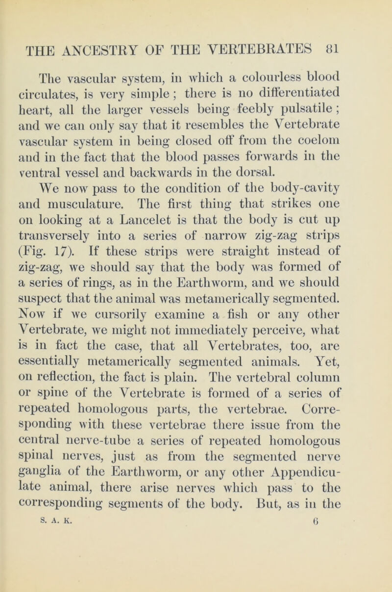 The vasculcir system, in which a colourless blood circulates, is very simple ; there is no difierentiated heart, all the lai’ger vessels being feebly pulsatile ; and we can only say that it resembles the Vertebrate vascular system in being closed off from the coelom and in the fact that the blood passes forwards in the ventral vessel and backwards in the dorsal. We now pass to the condition of the body-cavity and musculature. The first thing that strikes one on looking at a Lancelot is that the body is cut up transversely into a series of narrow zig-zag strips (Fig. 17). If these strips were straight instead of zig-zag, we should say that the body was formed of a series of rings, as in the Earthworm, and we should suspect that the animal was rnetamerically segmented. Now if we cursorily examine a fish or any other Vertebrate, we might not immediately perceive, what is in fact the case, that all Vertebrates, too, are essentially rnetamerically segmented animals. Yet, on reflection, the fact is plain. The vertebral column or spine of the Vertebrate is formed of a series of repeated homologous parts, the vertebrae. Corre- sponding with these vertebrae there issue from the central nerve-tube a series of repeated homologous spinal nerves, just as from the segmented nerve ganglia of the Earthworm, or any other Appendicu- late animal, there arise nerves which pass to the corresponding segments of the body. But, as in the