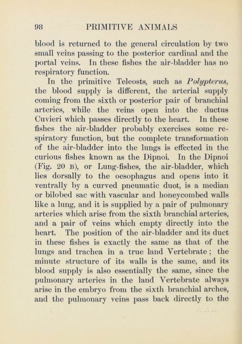 blood is returned to the general circulation by two small veins passing to the posterior cardinal and the portal veins. In these fishes the air-bladder has no respiratory function. In the primitive Teleosts, such as Polyj)teriis, the blood supply is different, the arterial supply coming from the sixth or posterior pair of branchial arteries, while the veins open into the ductus Cuvieri which passes directly to the heart. In these fishes the air-bladder probably exercises some re- spiratory function, but the complete transformation of the air-bladder into the lungs is effected in the curious fishes known as the Dipnoi. In the Dipnoi (Fig. 20 b), or Lung-fishes, the air-bladder, which lies dorsally to the oesophagus and opens into it ventrally by a curved pneumatic duct, is a median or bilobed sac with vascular and honeycombed walls like a lung, and it is supplied by a pair of pulmonary arteries which arise from the sixth branchial arteries, and a pair of veins which empty directly into the heart. The position of the air-bladder and its duct in these fishes is exactly the same as that of the lungs and trachea in a true land Vertebrate ; the minute structure of its walls is the same, and its blood supply is also essentially the same, since the pulmonary arteries in the land Vertebrate always arise in the embryo from the sixth branchial arches, and the pulmonary veins pass back directly to the