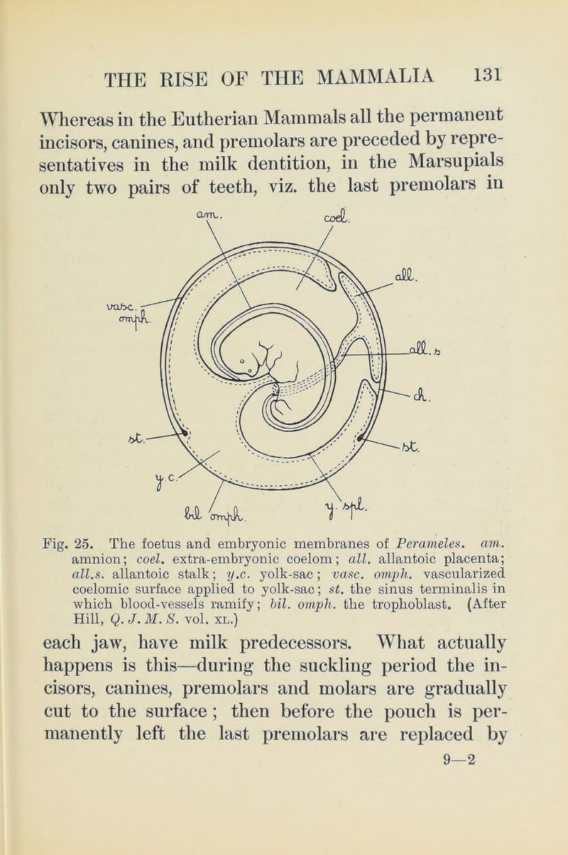 Whereas in the Eutherian Mammals all the permanent incisors, canines, and premolars are preceded by repre- sentatives in the milk dentition, in the Marsupials only two pairs of teeth, viz. the last premolars in Fig. 25. The foetus and embryonic membranes of Perameles. am. amnion; cod. extra-embryonic coelom; all. allantoic placenta; all.s. allantoic stalk; y.c. yolk-sac; va^c. omph. vascularized coelomic surface applied to yolk-sac; st. the sinus terminalis in which blood-vessels ramify; bil. omph. the trophoblast. (After Hill, Q. J. M. S. vol. XL.) each jaw, have milk predecessors. What actually happens is this—during the suckling period the in- cisors, canines, premolars and molars are gradually cut to the surface ; then before the pouch is per- manently left the last premolars are replaced by 9—2