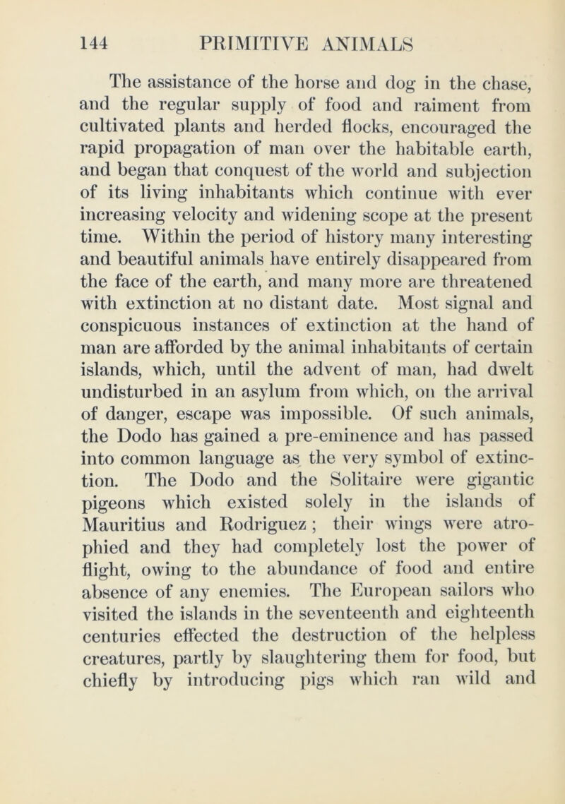 The assistance of the horse and dog in the chase, and the regular supply of food and raiment from cultivated plants and herded flocks, encouraged the rapid propagation of man over the habitable earth, and began that conquest of the world and subjection of its living inhabitants which continue witli ever increasing velocity and widening scope at the present time. Within the period of history many interesting and beautiful animals have entirely disappeared from the face of the earth, and many more are threatened with extinction at no distant date. Most signal and conspicuous instances of extinction at the hand of man are afforded by the animal inhabitants of certain islands, which, until the advent of man, had dwelt undisturbed in an asylum from which, on the arrival of danger, escape was impossible. Of such animals, the Dodo has gained a pre-eminence and has passed into common language as the very symbol of extinc- tion. The Dodo and the Solitaire were gigantic pigeons which existed solely in the islands of Mauritius and Rodriguez ; their wings were atro- phied and they had completely lost the power of flight, owing to the abundance of food and entire absence of any enemies. The European sailors who visited the islands in the seventeenth and eigliteenth centuries effected the destruction of the helpless creatures, partly by slaughtering them for food, but chiefly by introducing pigs which ran wild and