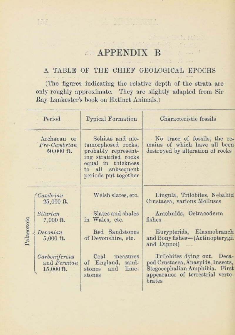 Palaeozoic A TABLE OF THE CHIEF GEOLOGICAL EPOCHS (The figures indicating the relative depth of the strata are only roughly approximate. They are slightly adapted from Sir Ray Lankester’s book on Extinct Animals.) Period Pre-Cambrian 50,000 ft. Typical Formation Characteristic fossils tamorphosed rocks, probably represent- ing stratified rocks equal in thickness to all subsequent periods put together mains of which have all been destroyed by alteration of rocks ''Cambrian 25,000 ft. Welsh slates, etc. Lingula, Trilobites, Nebaliid Crustacea, various Molluscs Silurian 7,000 ft. Slates and shales in Wales, etc. Arachnids, Ostracoderm fishes Devonian 5,000 ft. Red Sandstones of Devonshire, etc. Eurypterids, Elasmobrauch and Bony fishes—(Actinopterygii and Dipnoi) —- Carboniferous and Permian 15,000 ft. Coal measures of England, sand- stones and lime- stones Trilobites dying out. Deca- pod Crustacea, Anaspids, Insects, Stegocephaliau Amphibia. First appearance of terrestrial verte- brates