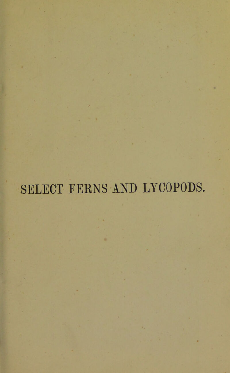 SELECT FERNS AND LYCOPODS.