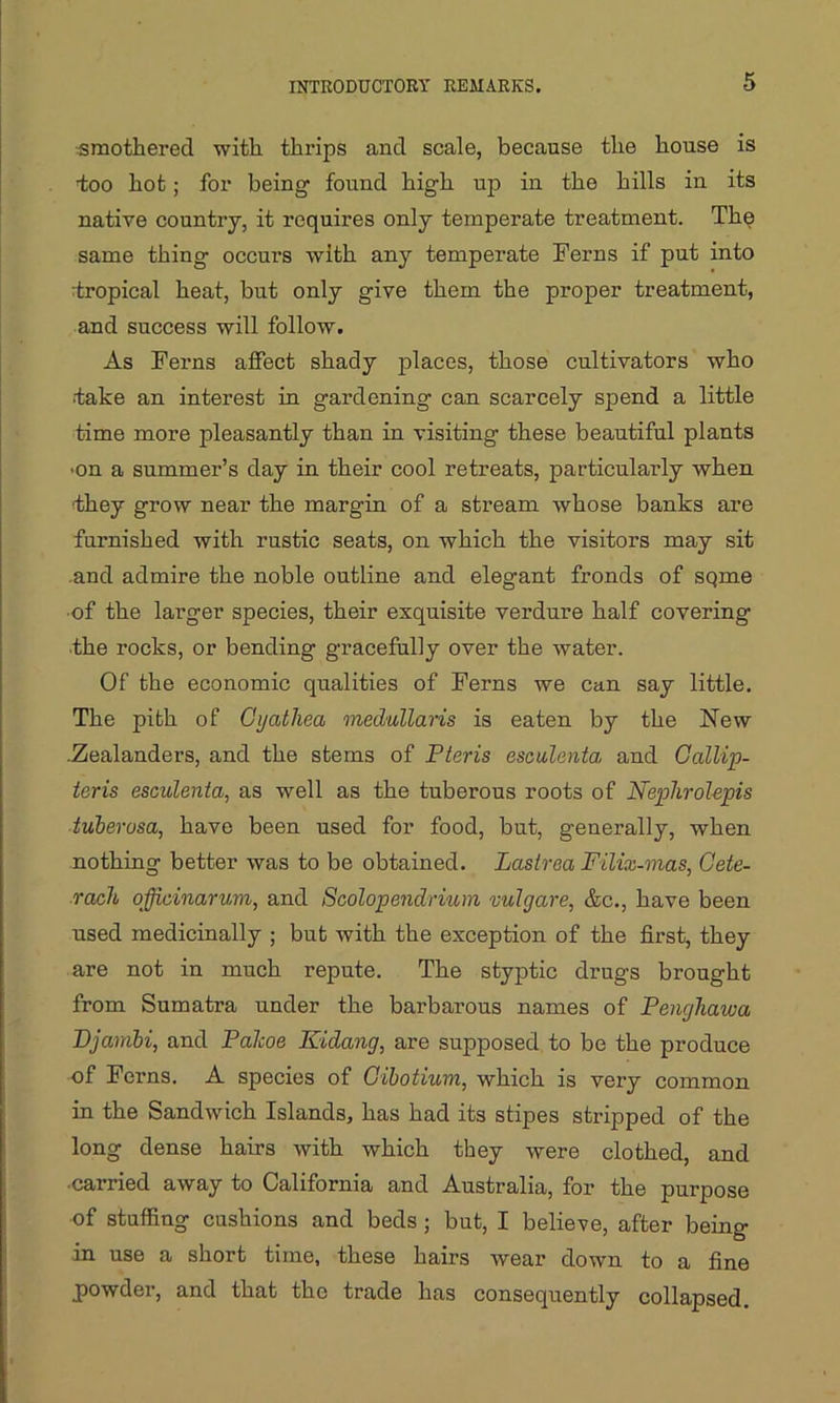 smothered with thrips and scale, because the house is too hot; for being found high up in the hills in its native country, it requires only temperate treatment. The same thing occurs with any temperate Ferns if put into tropical heat, but only give them the proper treatment, and success will follow. As Ferns affect shady places, those cultivators who take an interest in gardening can scarcely spend a little time more pleasantly than in visiting these beautiful plants ■on a summer’s day in their cool retreats, particularly when ■they grow near the margin of a stream whose banks are furnished with rustic seats, on which the visitors may sit and admire the noble outline and elegant fronds of sqme of the larger species, their exquisite verdure half covering the rocks, or bending gracefully over the water. Of the economic qualities of Ferns we can say little. The pith of Gijathea medullaris is eaten by the New .Zealanders, and the stems of Pteris esculenta, and Gallip- teris esculenta, as well as the tuberous roots of Nephrolepis tuberusa, have been used for food, but, generally, when nothing better was to be obtained. Laslrea F-ilix-mas, Gete- rach officinarum, and Scolopendrium vulgare, &c., have been used medicinally ; but with the exception of the first, they are not in much repute. The styptic drugs brought from Sumatra under the barbarous names of Penghawa Djambi, and Palcoe Kidang, are supposed to be the produce of Ferns. A species of Cibotium, which is very common in the Sandwich Islands, has had its stipes stripped of the long dense hairs with which they were clothed, and ■carried away to California and Australia, for the purpose of stuffing cushions and beds ; but, I believe, after being in use a short time, these hairs wear down to a fine powder, and that the trade has consequently collapsed.