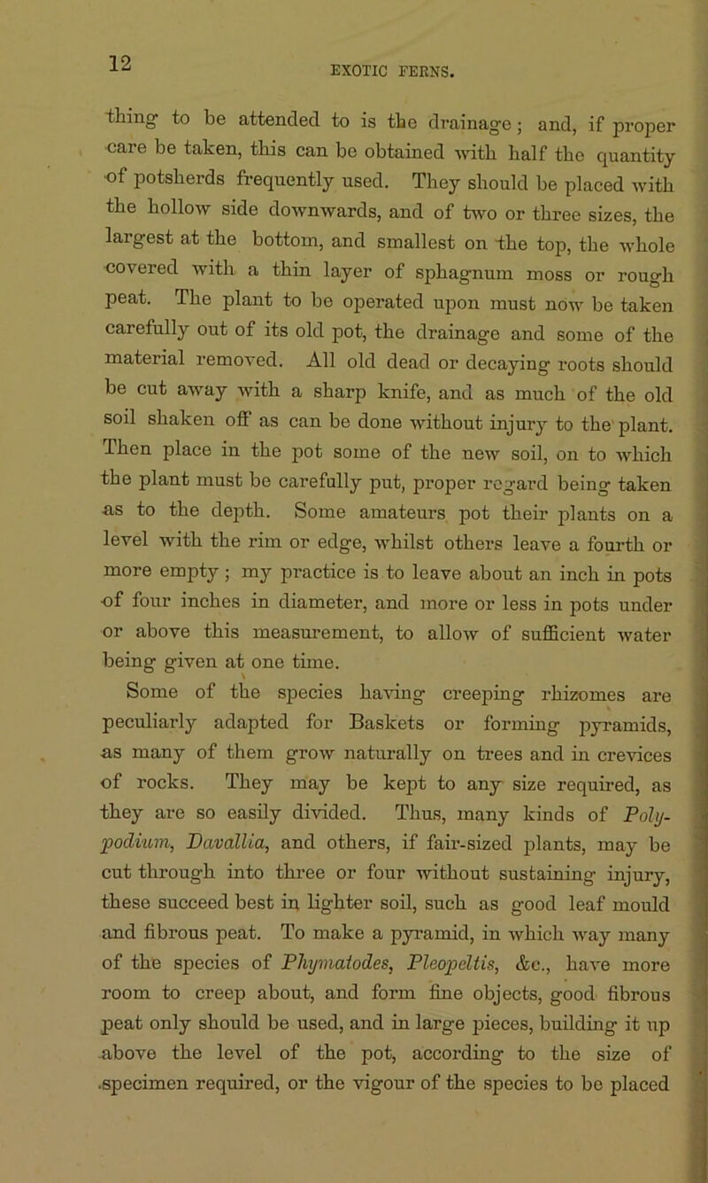 EXOTIC FERNS. thing1 to be attended to is the drainage ; and, if proper care be taken, this can be obtained with half the quantity •of potsherds frequently used. They should be placed with the hollow side downwards, and of two or three sizes, the largest at the bottom, and smallest on the top, the whole covered with a thin layer of sphagnum moss or rough peat. The plant to be operated upon must now be taken carefully out of its old pot, the drainage and some of the material removed. All old dead or decaying roots should be cut away with a sharp knife, and as much of the old soil shaken off as can be done without injury to the plant. Then place in the pot some of the new soil, on to which the plant must be carefully put, proper regard being taken •as to the depth. Some amateurs pot their plants on a level with the rim or edge, whilst others leave a fourth or more empty; my practice is to leave about an inch in pots •of four inches in diameter, and more or less in pots under or above this measurement, to allow of sufficient water being given at one time. Some of the species having creeping rhizomes are peculiarly adapted for Baskets or forming pyramids, as many of them grow naturally on trees and in crevices of rocks. They may be kept to any size required, as they are so easily divided. Thus, many kinds of Poly- podium, Davallia, and others, if fair-sized plants, may be cut through into three or four without sustaining injury, these succeed best in lighter soil, such as good leaf mould and fibrous peat. To make a pyramid, in which way many of the species of Phymatodes, Pleojpeltis, &c., have more room to creep about, and form fine objects, good fibrous peat only should be used, and in large pieces, building it up above the level of the pot, according to the size of .specimen required, or the vigour of the species to bo placed