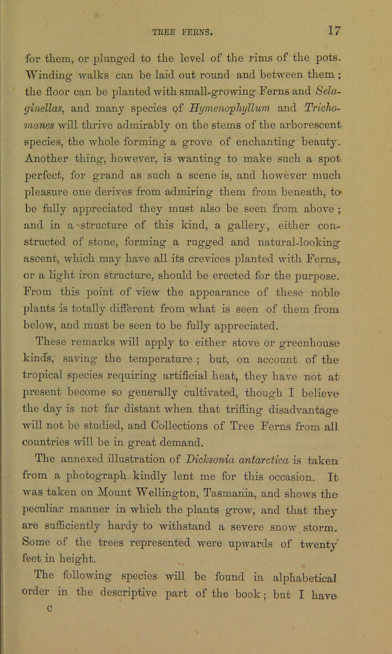 for them, or plunged to the level of the rims of the pots. Winding walks can be laid out round and between them ; the floor can be planted with small-growing Ferns and Sela- (jinellas, and many species of Hymenophyllum and Triclio- manes will thrive admirably on the stems of the arborescent species, the whole forming a grove of enchanting beauty. Another thing, however, is wanting to make such a spot perfect, for grand as such a scene is, and however much pleasure one derives from admiring them from beneath, to be fully appreciated they must also be seen from above ; and in a- structure of this kind, a gallery, either con- structed of stone, forming a rugged and natural-looking- ascent, which may have all its crevices planted with Ferns, or a light iron structure, should be erected for the purpose. From this point of view the appearance of these noble- plants is totally different from what is seen of them from below, and must be seen to be fully appreciated. These remarks will apply to either stove or greenhouse kinds, saving the temperature ; but, on account of the tropical species requiring artificial heat, they have not at present become so generally cultivated, though I believe the day is not far distant when that trifling disadvantage will not be studied, and Collections of Tree Ferns from all countries will be in great demand. The annexed illustration of Diclcsonia antarctica is taken from a photograph kindly lent me for this occasion. It was taken on Mount Wellington, Tasmania, and shows the peculiar manner in which the plants grow, and that they are sufficiently hardy to withstand a severe snow storm. Some of the trees represented were upwards of twenty feet in height. The following species will be found in alphabetical order in the descriptive part of the book; but I have c