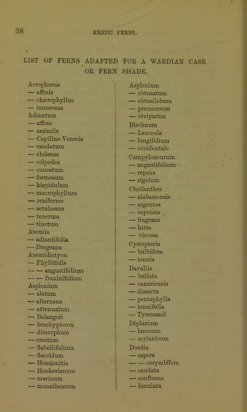 LIST OF FERNS Acrophoras — affinis — chserophyllus — immersus Adiantum — affine — assimile — Capillus-Yeneris — caudatum — chilense — colpodes — cuneatum — formosum — hispidulum — macrophyllum — reniforme ■— setulosum — tenerum — tinctnm Anemia — adiantifolia — Dregeana Anemidictyon — Pliyllitidis angustifolium fraxinifolium Asplenium — alatum — altemans — attenuatum — Belangeri — bracliypteron — dimorphum — erectum — fiabellifolium — flaccidum — Hemionitis — Hookerianum — marinum — monathemum ADAPTED FOR A WARDIAN CASE OR FERN SHADE. Asplenium — obtusatum — obtusilobum — pramorsum — viviparum Bleclmum — Lanceola — longifolium — occidentale Campyloneurum — angustifolium — repens — rigidum Chcilanthes — alabamensis — argentea > — capensis — fragrans — birta — viscosa Cystopteris — bulbifera — tenuis Davallia — bullata — canariensis — dissecta — pentapliylla — tenuifolia — Tyremanii Diplazium — lanceum — zeylanicum Doodia — aspera corymbifera — caudata — con Aliens — lunulata