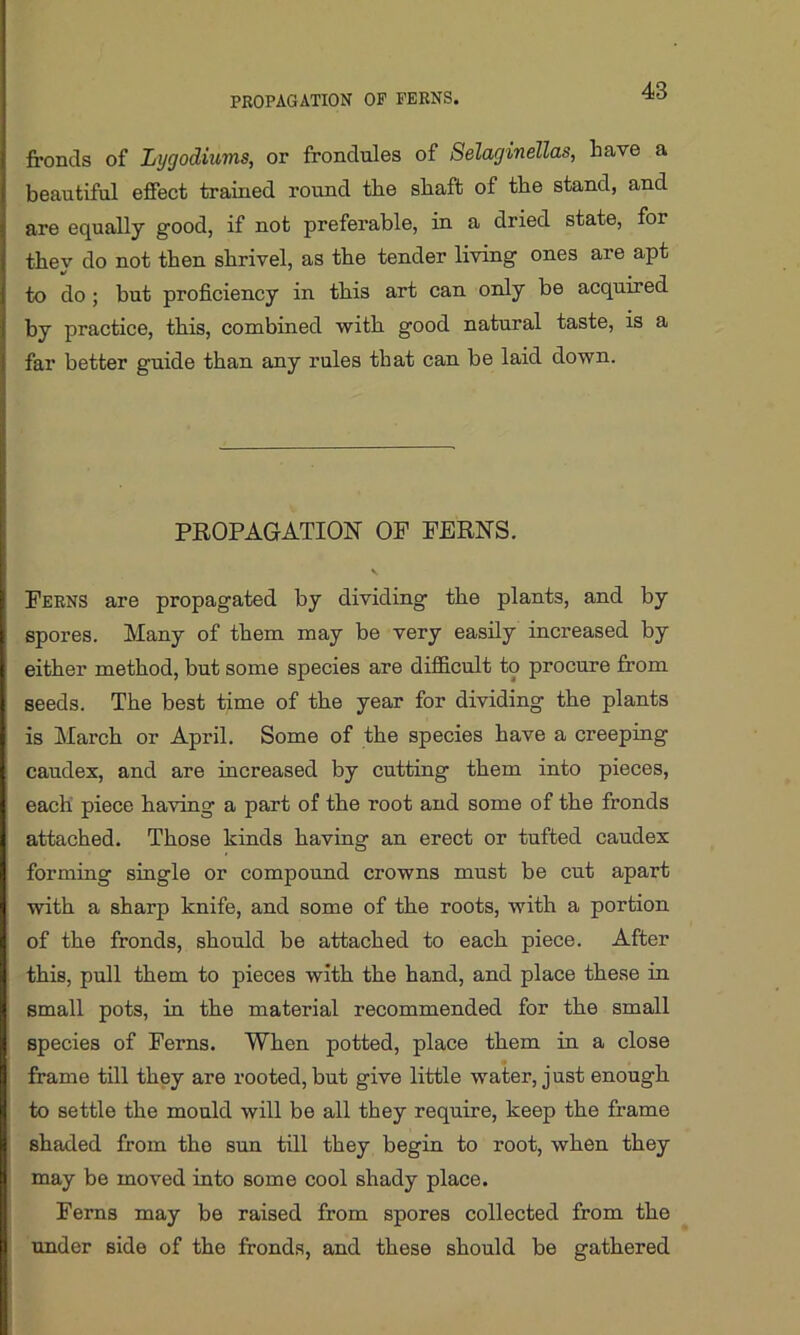 fronds of Lygodiums, or frondules of Selaginellas, have a beautiful effect trained round the shaft of the stand, and are equally good, if not preferable, in a dried state, for they do not then shrivel, as the tender living ones are apt to do ; but proficiency in this art can only be acquired by practice, this, combined with good natural taste, is a far better guide than any rules that can be laid down. PROPAGATION OP FERNS. V Ferns are propagated by dividing the plants, and by spores. Many of them may be very easily increased by either method, but some species are difficult to procure from seeds. The best time of the year for dividing the plants is March or April. Some of the species have a creeping caudex, and are increased by cutting them into pieces, each piece having a part of the root and some of the fronds attached. Those kinds having an erect or tufted caudex forming single or compound crowns must be cut apart with a sharp knife, and some of the roots, with a portion of the fronds, should be attached to each piece. After this, pull them to pieces with the hand, and place these in small pots, in the material recommended for the small species of Ferns. When potted, place them in a close frame till they are rooted, but give little water, just enough to settle the mould will be all they require, keep the frame shaded from the sun till they begin to root, when they may be moved into some cool shady place. Ferns may be raised from spores collected from the under side of the fronds, and these should be gathered