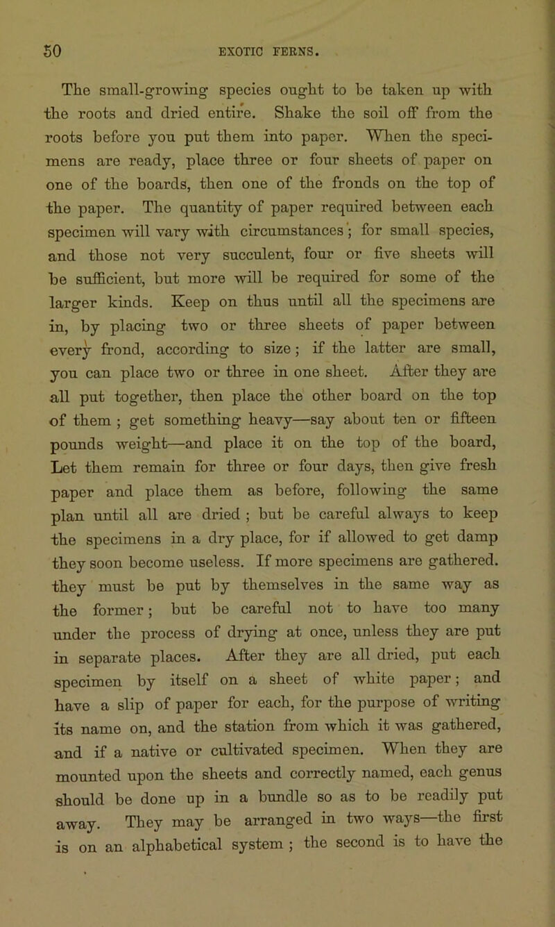 Tile small-growing species ought to be taken up witb the roots and dried entire. Shake the soil off from the roots before you put them into paper. When the speci- mens are ready, place three or four sheets of paper on one of the boards, then one of the fronds on the top of the paper. The quantity of paper required between each specimen will vary with circumstances ; for small species, and those not very succulent, four or five sheets will be sufficient, but more will be required for some of the larger kinds. Keep on thus until all the specimens are in, by placing two or three sheets of paper between every frond, according to size; if the latter are small, you can place two or three in one sheet. After they are all put together, then place the other board on the top of them ; get something heavy—say about ten or fifteen pounds weight—and place it on the top of the board, Let them remain for three or four days, then give fresh paper and place them as before, following the same plan until all are dried ; but be careful always to keep the specimens in a dry place, for if allowed to get damp they soon become useless. If more specimens are gathered, they must be put by themselves in the same way as the former; but be careful not to have too many under the process of drying at once, unless they are put in separate places. After they are all dried, put each specimen by itself on a sheet of white paper; and have a slip of paper for each, for the purpose of writing its name on, and the station from which it was gathered, and if a native or cultivated specimen. When they are mounted upon the sheets and correctly named, each genus should be done up in a bundle so as to be readily put away. They may be arranged in two ways—the first is on an alphabetical system ; the second is to have the