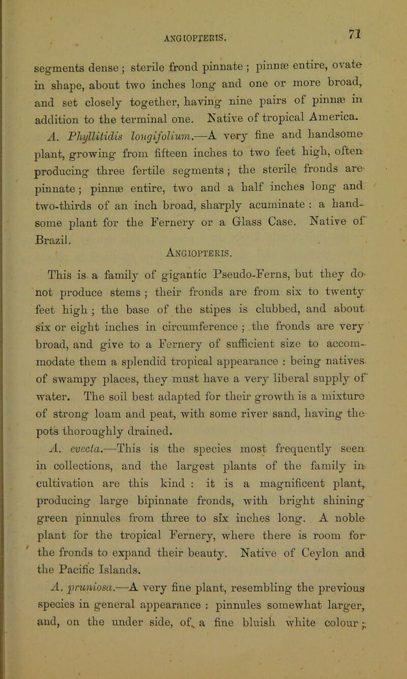 ANGtOPTERIS. segments dense ; sterile frond pinnate ; pinnae entire, ovate in shape, about two inches long and one or more broad, and set closely together, having nine pairs of pinnae in addition to the terminal one. Native of tropical America. A. Phyllitidis longifolium.—A very fine and handsome plant, growing from fifteen inches to two feet high, often producing- three fertile segments; the sterile fronds are- pinnate ; pinnae entire, two and a half inches long- and two-thirds of an inch broad, sharply acuminate : a hand- some plant for the Fernery or a Glass Case. Native of Brazil. Angiopteris. This is a family of gigantic Pseudo-Ferns, but they do- not produce stems ; their fronds are from six to twenty feet high ; the base of the stipes is clubbed, and about six or eight inches in circumference ; the fronds are very broad, and give to a Fernery of sufficient size to accom- modate them a splendid tropical appearance : being natives of swampy places, they must have a very liberal supply of' water. The soil best adapted for their growth is a mixture of strong’ loam and peat, with some river sand, having the pots thoroughly drained. A. evecta.—-This is the species most frequently seen in collections, and the largest plants of the family in cultivation are this kind : it is a magnificent plant, producing large bipinnate fronds, with bright shining green pinnules from three to six inches long. A noble plant for the tropical Fernery, where there is room for the fronds to expand their beauty. Native of Ceylon and the Pacific Islands. A. pruniosa.—A very fine plant, resembling the previous species in general appearance : pinnules somewhat larger, and, on the under side, ofx a fine bluish white colour