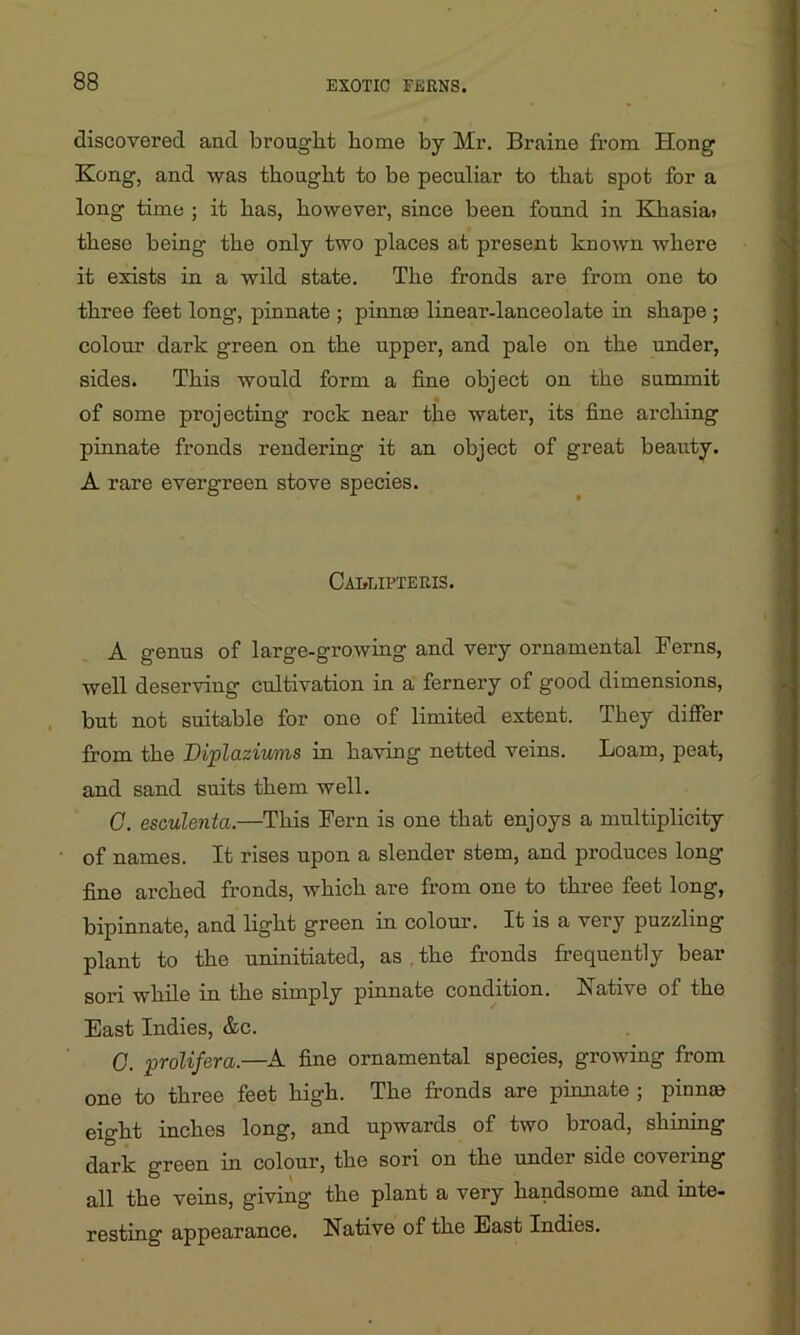 discovered and brought home by Mr. Braine from Hong Kong, and was thought to be peculiar to that spot for a long time ; it has, however, since been found in Khasiai these being the only two places at present known where it exists in a wild state. The fronds are from one to three feet long, pinnate ; pinnae linear-lanceolate in shape ; colour dark green on the upper, and pale on the under, sides. This would form a fine object on the summit of some projecting rock near the water, its fine arching pinnate fronds rendering it an object of great beauty. A rare evergreen stove species. CAbLIPTERIS. A genus of large-growing and very ornamental Ferns, well deserving cultivation in a fernery of good dimensions, but not suitable for one of limited extent. They differ from the Diplaziums in having netted veins. Loam, peat, and sand suits them well. C. esculenta.—This Fern is one that enjoys a multiplicity of names. It rises upon a slender stem, and produces long- fine arched fronds, which are from one to three feet long, bipinnate, and light green in colour. It is a very puzzling plant to the uninitiated, as . the fronds frequently bear sori while in the simply pinnate condition. Native of the East Indies, &c. C. prolifer a.—A fine ornamental species, growing from one to three feet high. The fronds are pinnate ; pinnae eight inches long, and upwards of two broad, shining dark green in colour, the sori on the under side covering all the veins, giving the plant a very handsome and inte- resting appearance. Native of the East Indies.