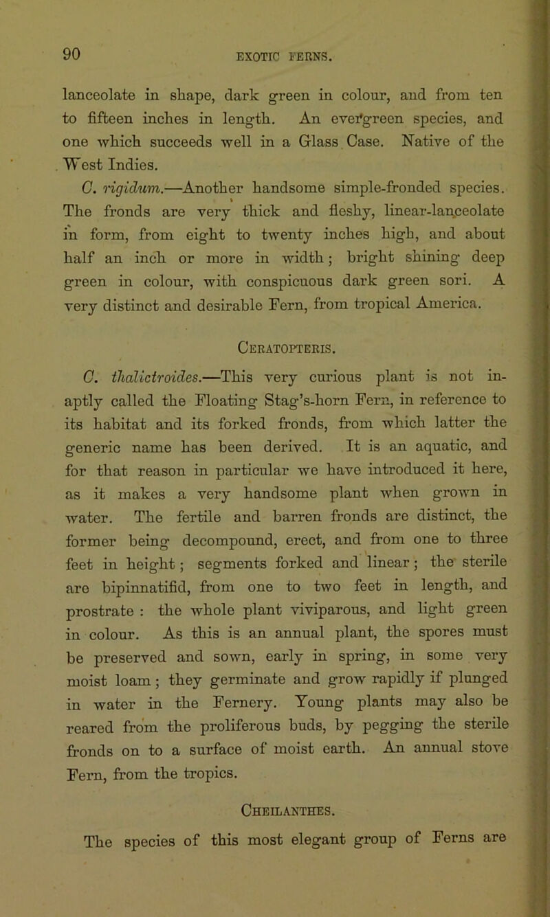 lanceolate in shape, dark green in colour, and from ten to fifteen inches in length. An evergreen species, and one which succeeds well in a Glass Case. Native of the West Indies. G. rigidum.—Another handsome simple-fronded species. k The fronds are very thick and fleshy, linear-lanceolate in form, from eight to twenty inches high, and about half an inch or more in width; bright shining deep green in colour, with conspicuous dark green sori. A very distinct and desirable Fern, from tropical America. Ceratopteris. G. thalictroides.—This very curious plant is not in- aptly called the Floating Stag’s-horn Fern, in reference to its habitat and its forked fronds, from which latter the generic name has been derived. It is an aquatic, and for that reason in particular we have introduced it here, as it makes a very handsome plant when grown in water. The fertile and barren fronds are distinct, the former being decompound, erect, and from one to three feet in height; segments forked and linear; the sterile are bipinnatifid, from one to two feet in length, and prostrate : the whole plant viviparous, and light green in colour. As this is an annual plant, the spores must be preserved and sown, early in spring, in some very moist loam; they germinate and grow rapidly if plunged in water in the Fernery. Young plants may also be reared from the proliferous buds, by pegging the sterile fronds on to a surface of moist earth. An annual stove Fern, from the tropics. Cheilanthes. The species of this most elegant group of Ferns are