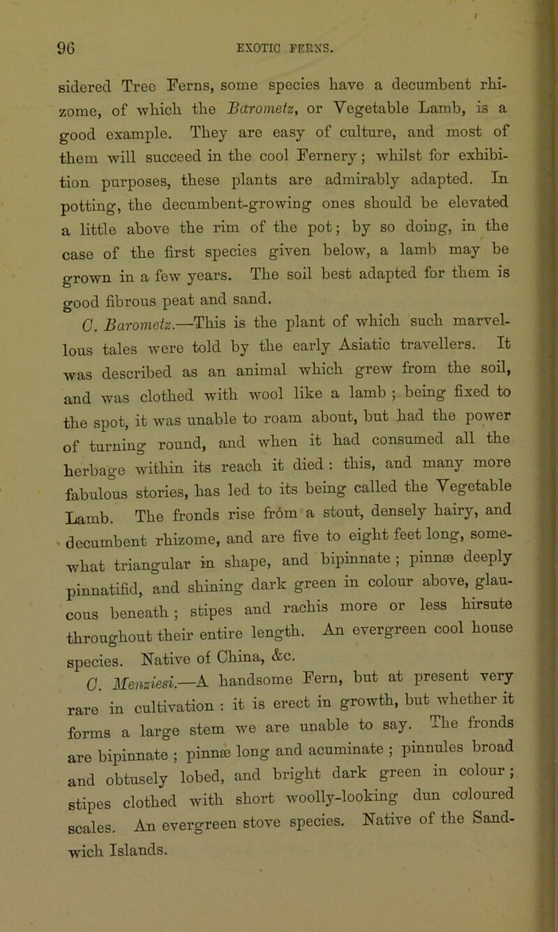 sidered Tree Ferns, some species have a decumbent rhi- zome, of which the Barometz, or Vegetable Lamb, is a good example. They are easy of culture, and most of them will succeed in the cool Fernery; whilst for exhibi- tion purposes, these plants are admirably adapted. In potting, the decumbent-growing ones should be elevated a little above the rim of the pot; by so doing, in the case of the first species given below, a lamb may be grown in a few years. The soil best adapted for them is good fibrous peat and sand. C. Barometz.—This is the plant of which such marvel- lous tales were told by the early Asiatic travellers. It was described as an animal which grew from the soil, and was clothed with wool like a lamb ; being fixed to the spot, it was unable to roam about, but had the power of turning round, and when it had consumed all the herbage within its reach it died : this, and many more fabulous stories, has led to its being called the Vegetable Lamb. The fronds rise from a stout, densely hairy, and decumbent rhizome, and are five to eight feet long, some- what triangular in shape, and bipinnate ; pinnae deeply pinnatifid, and shining dark green in colour above, glau- cous beneath; stipes and rachis more or less hirsute throughout their entire length. An evergreen cool house species. Native of China, &c. G. Menziesi.—A handsome Fern, but at present very rare in cultivation : it is erect in growth, but whether it forms a large stem we are unable to say. The fronds are bipinnate ; pinnee long and acuminate ; pinnules broad and obtusely lobed, and bright dark green in colour; stipes clothed with short woolly-looking dun coloured scales. An evergreen stove species. Native of the Sand- wich Islands.