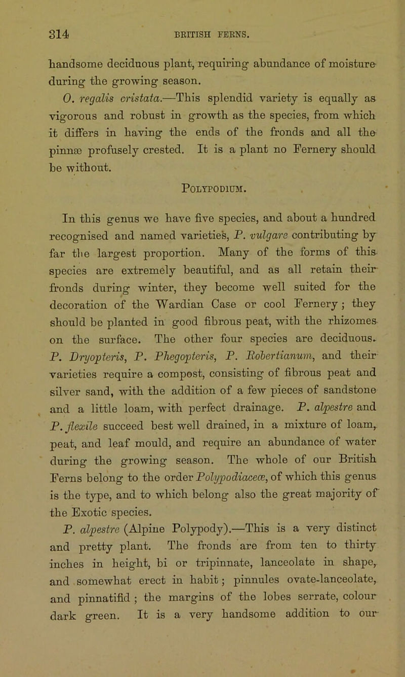 handsome deciduous plant, requiring- abundance of moisture- during the growing season. O. regalis cristata.—This splendid variety is equally as vigorous and robust in growth as the species, from which it differs in having the ends of the fronds and all the pinna) profusely crested. It is a plant no Fernery should be without. Polypodiom. In this genus we have five species, and about a hundred recognised and named varieties, P. vulgare contributing by far tlie largest proportion. Many of the forms of this species are extremely beautiful, and as all retain their- fronds during winter, they become well suited for the decoration of the Wardian Case or cool Fernery ; they should be planted in good fibrous peat, with the rhizomes on the surface. The other four species are deciduous. P. Dryopteris, P. Phegopteris, P. Roberticinum, and their varieties require a compost, consisting of fibrous peat and silver sand, with the addition of a few pieces of sandstone and a little loam, with perfect drainage. P. alpestre and P. flexile succeed best well drained, in a mixture of loam, peat, and leaf mould, and require an abundance of water during the growing season. The whole of our British Ferns belong to the order Polypodiacece, of which this genus is the type, and to which belong- also the great majority of the Exotic species. P. alpestre (Alpine Polypody).—This is a very distinct and pretty plant. The fronds are from ten to thirty inches in height, bi or tripinnate, lanceolate in shape, and somewhat erect in habit; pinnules ovate-lanceolate, and pinnatifid ; the margins of the lobes serrate, colour dark green. It is a very handsome addition to our