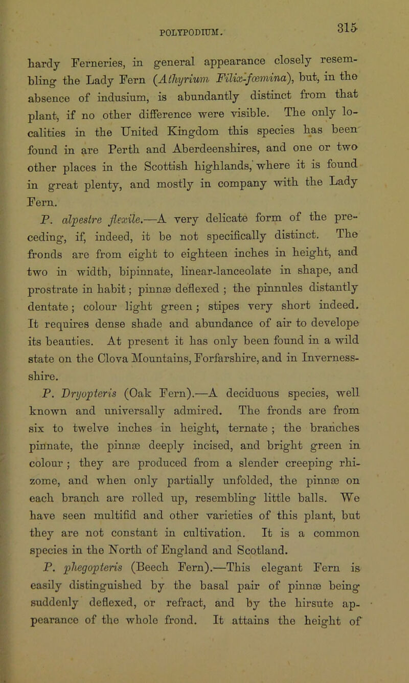 liarcly Ferneries, in general appearance closely resem- bling the Lady Fern (Alhyrium Filix-foemina:), but, in the absence of indusinm, is abundantly distinct from that plant, if no other difference were visible. The only lo- calities in the United Kingdom this species has been found in are Perth and Aberdeenshires, and one or two other places in the Scottish highlands, where it is found in great plenty, and mostly in company with the Lady Fern. P. alpeslre flexile.—A very delicate form of the pre- ceding, if, indeed, it be not specifically distinct. The fronds are from eight to eighteen inches in height, and two in width, bipinnate, linear-lanceolate in shape, and prostrate in habit; pinnse deflexed ; the pinnules distantly dentate; colour light green; stipes very short indeed. It requires dense shade and abundance of air to develope its beauties. At present it has only been found in a wild state on the Clova Mountains, Forfarshire, and in Inverness- shire. P. Dryopteris (Oak Fern).—A deciduous species, well known and tmiversally admired. The fronds are from six to twelve inches in height, ternate ; the branches pinnate, the pinnoe deeply incised, and bright green in colour ; they are produced from a slender creeping rhi- zome, and when only partially unfolded, the pinme on each branch are rolled up, resembling little balls. We have seen multifid and other varieties of this plant, but they are not constant in cultivation. It is a common species in the North of England and Scotland. P. phegopieris (Beech Fern).—This elegant Fern is easily distinguished by the basal pair of pinme being' suddenly deflexed, or refract, and by the hirsute ap- pearance of the whole frond. It attains the height of