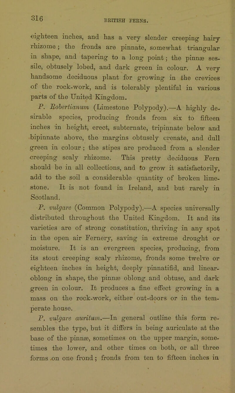 BRITISH FERNS. eighteen inches, and has a very slender creeping hairy rhizome ; the fronds are pinnate, somewhat triangular in shape, and tapering to a long point; the pinnae ses- sile, obtusely lobed, and dark green in colour. A very handsome deciduous plant for growing in the crevices of the rock-work, and is tolerably plentiful in various parts of the United Kingdom. P. Bobertianum (Limestone Polypody).—A highly de- sirable species, producing fronds from six to fifteen inches in height, erect, subternate, tripiunate below and bipinnate above, the margins obtusely crenate, and dull green in colour ; the stipes are produced from a slender creeping scaly rhizome. This pretty deciduous Pern should be in all collections, and to grow it satisfactorily, add to the soil a considerable quantity of broken lime- stone. It is not found in Ireland, and but rarely in Scotland. P. vulgare (Common Polypody).—A species universally distributed throughout the United Kingdom. It and its varieties are of strong constitution, thriving in any spot in the open air Fernery, saving in extreme drought or moisture. It is an evergreen species, producing, from its stout creeping scaly rhizome, fronds some twelve or eighteen inches in height, deeply pinnatifid, and linear- oblong in shape, the pinnae oblong and obtuse, and dark green in colour. It produces a fine effect growing in a mass on the rock-work, either out-doors or in the tem- perate house. P. vulgare auritum.—In general outline this form re- sembles the type, but it differs in being auriculate at the base of the pinnae, sometimes on the upper margin, some- times the lower, and other times on both, or all three forms .on one frond; fronds from ten to fifteen inches in