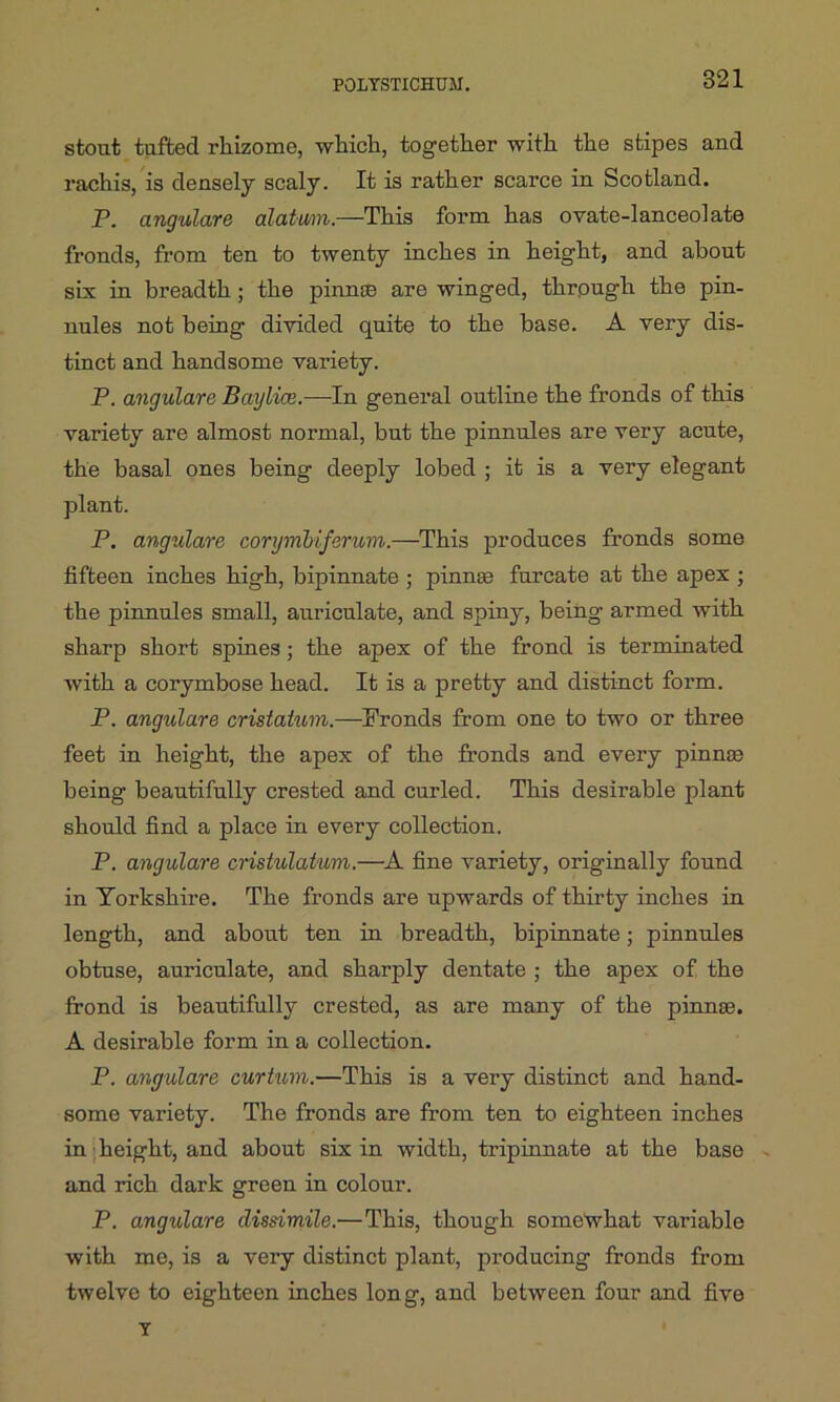 stout tufted rhizome, which, together with the stipes and rachis, is densely scaly. It is rather scarce in Scotland. P. angulare alatum.—This form has ovate-lanceolate fronds, from ten to twenty inches in height, and about six in breadth ; the pi unco are winged, through the pin- nules not being divided quite to the base. A very dis- tinct and handsome variety. P. angulare Bay lice.—In general outline the fronds of this variety are almost normal, but the pinnules are very acute, the basal ones being deeply lobed ; it is a very elegant plant. P. angulare corymbiferum.—This produces fronds some fifteen inches high, bipinnate ; pinnae furcate at the apex ; the pinnules small, auriculate, and spiny, being armed with sharp short spines; the apex of the frond is terminated with a corymbose head. It is a pretty and distinct form. P. angulare cristatum.—Fronds from one to two or three feet in height, the apex of the fronds and every pinna) being beautifully crested and curled. This desirable plant should find a place in every collection. P. angulare cristulatum.—A fine variety, originally found in Yorkshire. The fronds are upwards of thirty inches in length, and about ten in breadth, bipinnate; pinnules obtuse, auriculate, and sharply dentate ; the apex of the frond is beautifully crested, as are many of the pinna). A desirable form in a collection. P. angulare curtum.—This is a very distinct and hand- some variety. The fronds are from ten to eighteen inches in height, and about six in width, tripinnate at the base and rich dark green in colour. P. angulare dissimile.—This, though somewhat variable with me, is a very distinct plant, producing fronds from twelve to eighteen inches long, and between four and five Y