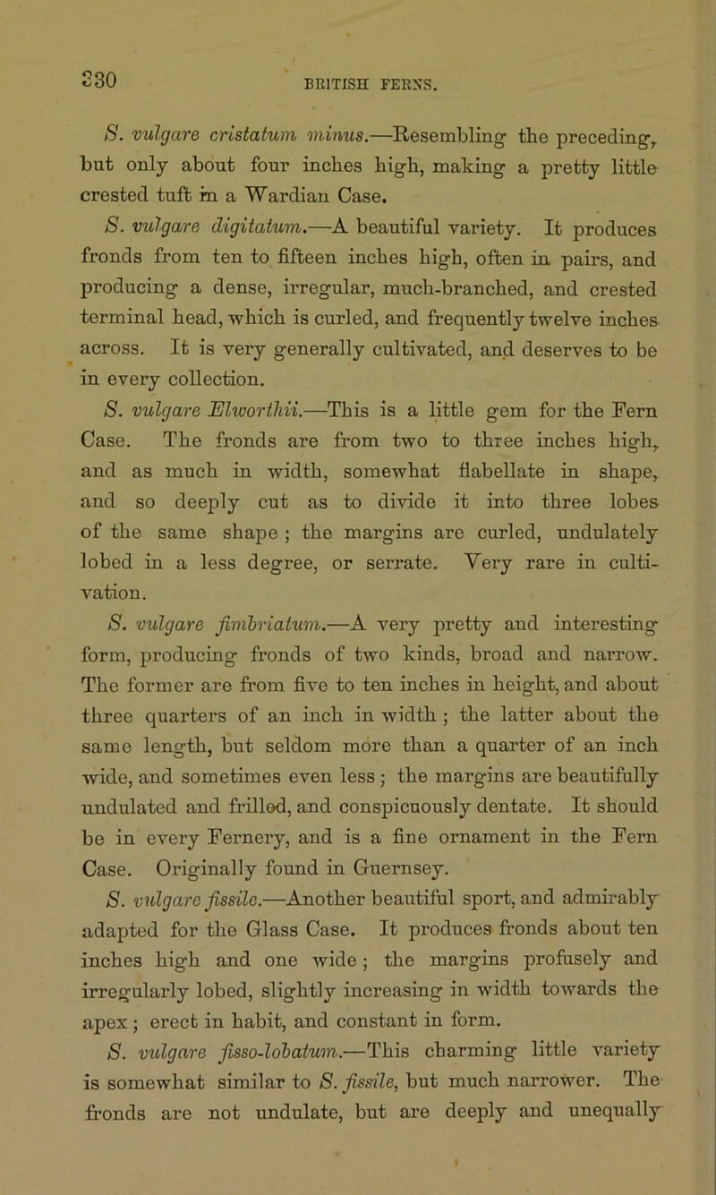 230 S. vulgare cristatum minus.—Resembling- the preceding-,, but only about four inches high, making a pretty little crested tuft in a Wardian Case. S. vulgare digitatum.—A beautiful variety. It produces fronds from ten to fifteen inches high, often in pairs, and pnoducing a dense, irregular, much-branched, and crested terminal head, which is curled, and frequently twelve inches across. It is very generally cultivated, and deserves to be in every collection. 8. vulgare Elivorthii.—This is a little gem for the Fern Case. The fronds are from two to three inches high, and as much in width, somewhat fiabellate in shape, and so deeply cut as to divide it into three lobes of the same shape ; the margins are curled, undulately lobed in a less degree, or serrate. Yery rare in culti- vation. 8. vulgare fimbriatum.—A very pretty and interesting form, producing fronds of two kinds, broad and narrow. The former are from five to ten inches in height, and about three quarters of an inch in width ; the latter about the same length, but seldom more than a quarter of an inch wide, and sometimes even less ; the margins are beautifully undulated and frilled, and conspicuously dentate. It should be in every Fernery, and is a fine ornament in the Fern Case. Originally found in Guernsey. S. vulgare fissile.—Another beautiful sport, and admirably adapted for the Glass Case. It produces fronds about ten inches high and one wide; the margins profusely and irregularly lobed, slightly increasing in width towards the apex ; erect in habit, and constant in form. 8. vulgare fisso-lobatum.—This charming little variety is somewhat similar to 8. fissile, but much narrower. The fronds are not undulate, but are deeply and unequally