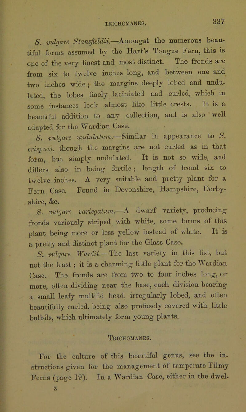 TEICHOMANES. S. vulgare Stansfieldii.—Amongst the numerous beau- tiful forms assumed by the Hart’s Tongue Fern, this is one of the very finest and most distinct. The fronds are from six to twelve inches long, and between one and two inches wide; the margins deeply lobed and undu- lated, the lobes finely laciniated and curled, which in some instances look almost like little crests. It is a beautiful addition to any collection, and is also well adapted for the Wardian Case. 8. vulgare undulatum.—Similar in appearance to S. crispum, though the margins are not curled as in that form, but simply undulated. It is not so wide, and differs also in being fertile ; length of frond six to twelve inches. A very suitable and pretty plant for a Fern Case. Found in Devonshire, Hampshire, Derby- shire, &c. S. vulgare variegatum.—A dwarf variety, producing fronds variously striped with white, some forms of this plant being more or less yellow instead of white. It is a pretty and distinct plant for the Glass Case. S. vulgare Wardii.—The last variety in this list, but not the least ; it is a charming little plant for the Wardian Case. The fronds are from two to four inches long, or more, often dividing near the base, each division bearing a small leafy multifid head, irregularly lobed, and often beautifully curled, being also profusely covered with little bulbils, which ultimately form young plants. Tkichomanes. For the culture of this beautiful genus, see the in- structions given for the management of temperate lilmy Ferns (page 19). In a Wardian Case, either in the dwel- z