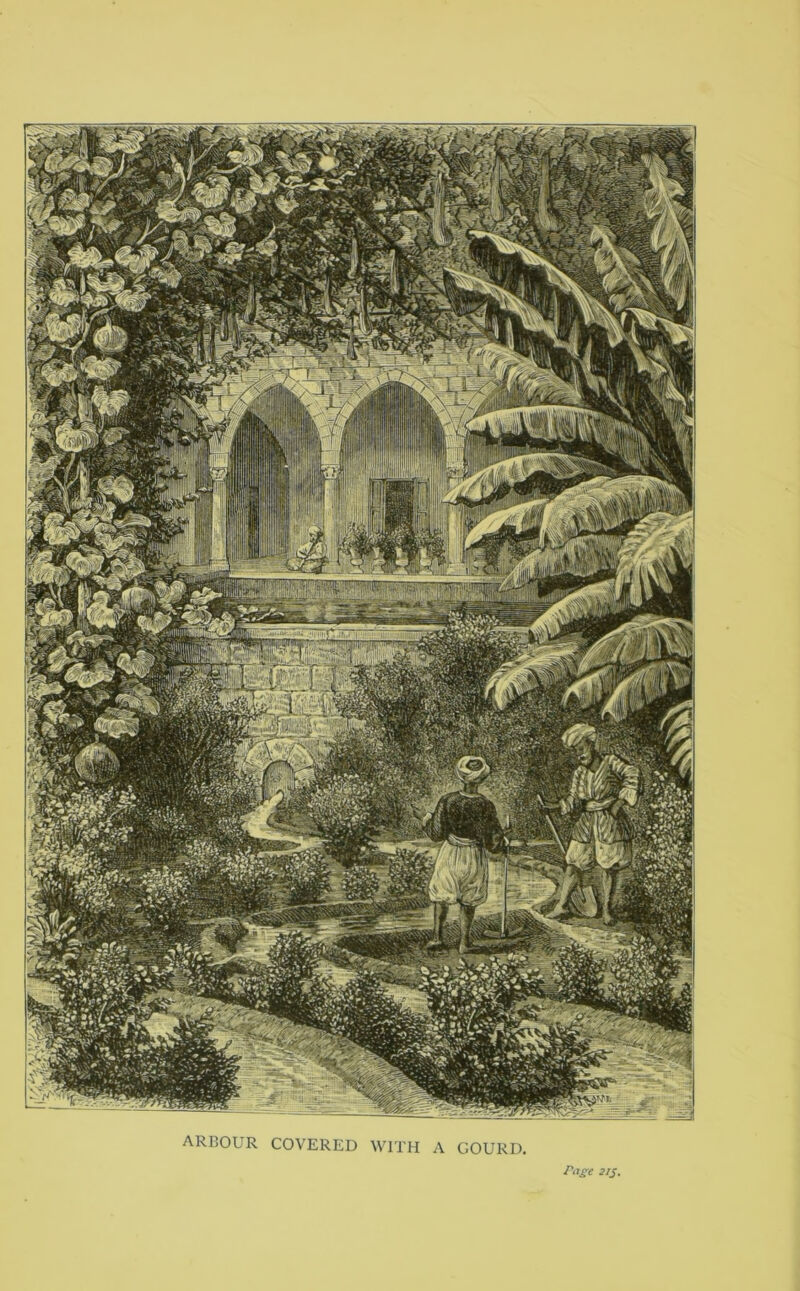 ARBOUR COVERED WITH A GOURD. Pagt 215.